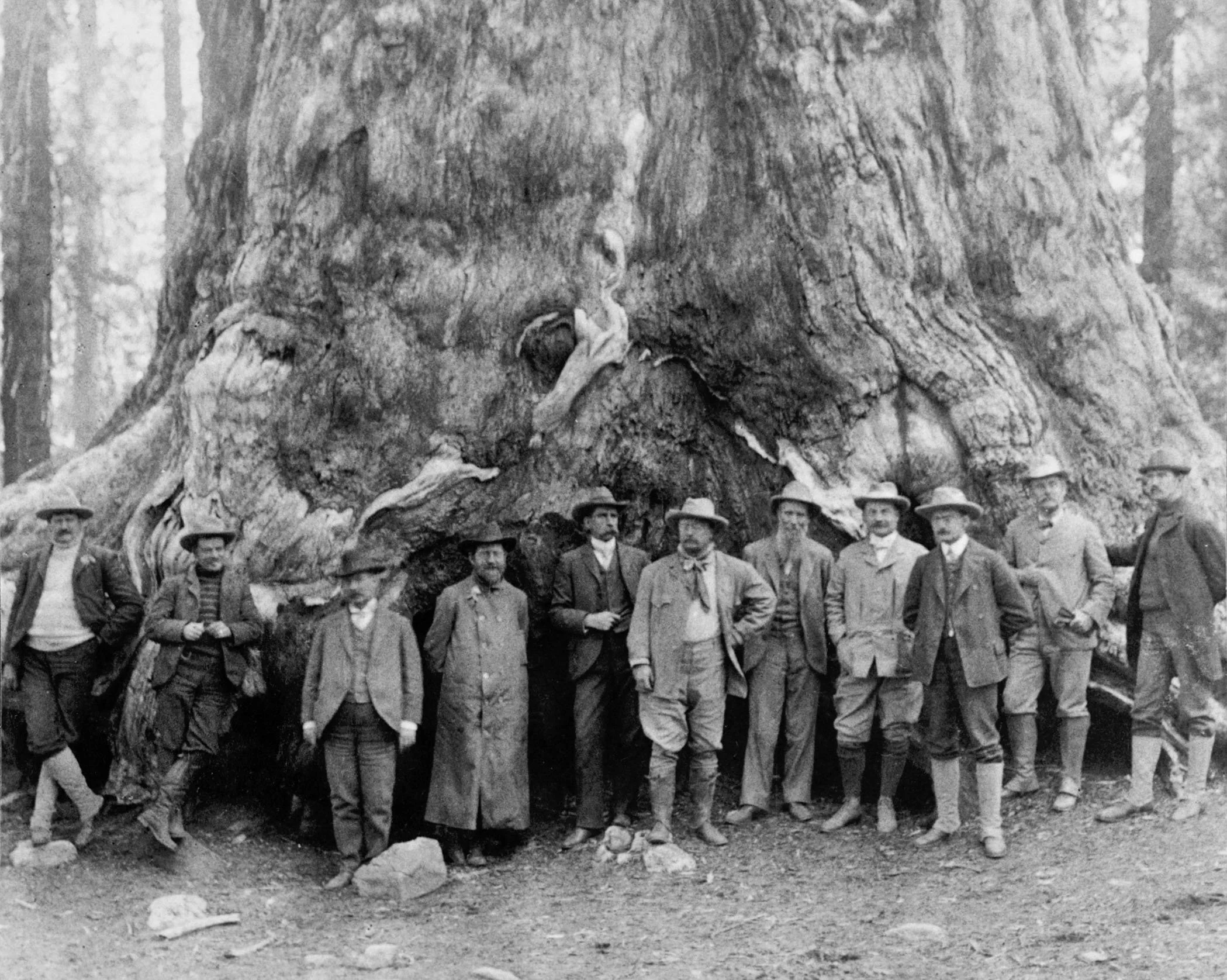 29. President Roosevelt with Muir .jpeg
