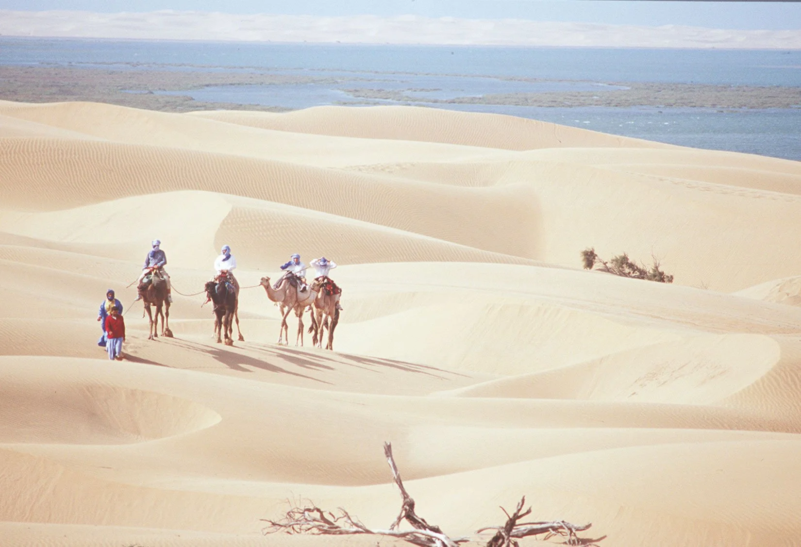 Caravan.jpeg