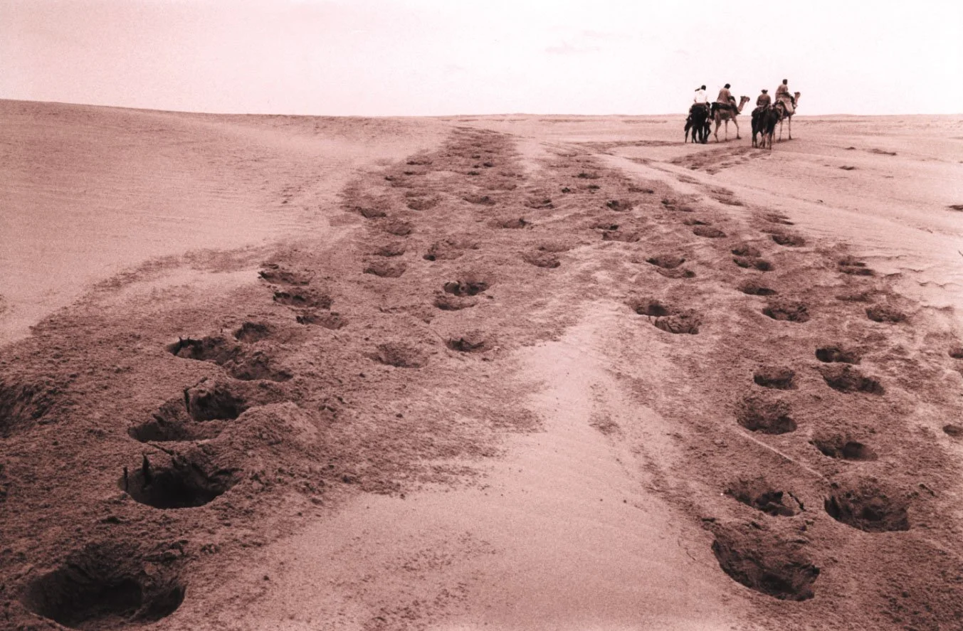 camle footprints.jpeg