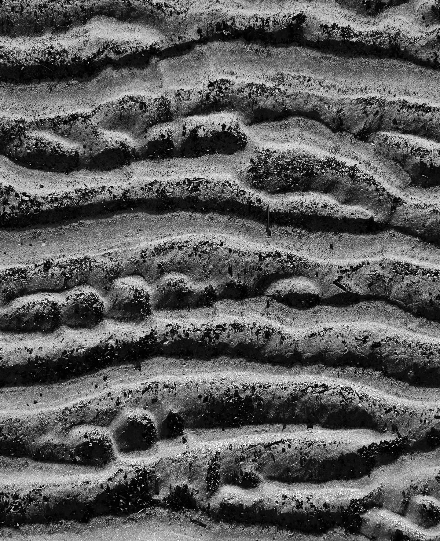 Enjoying all the patterns of Wingaersheek Beach at low tide. Off season is the best season!