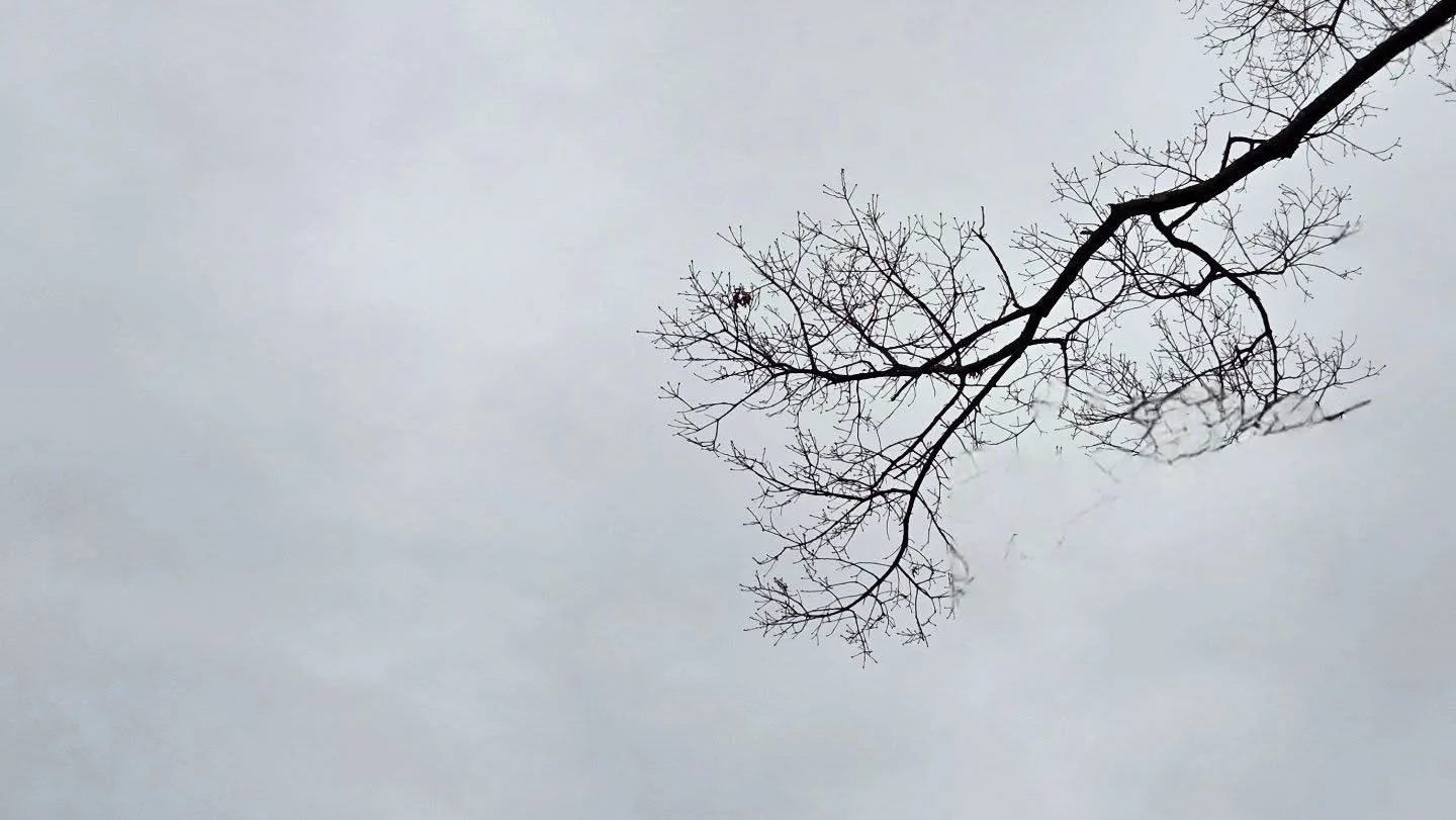 Still hanging on... #winteriscoming