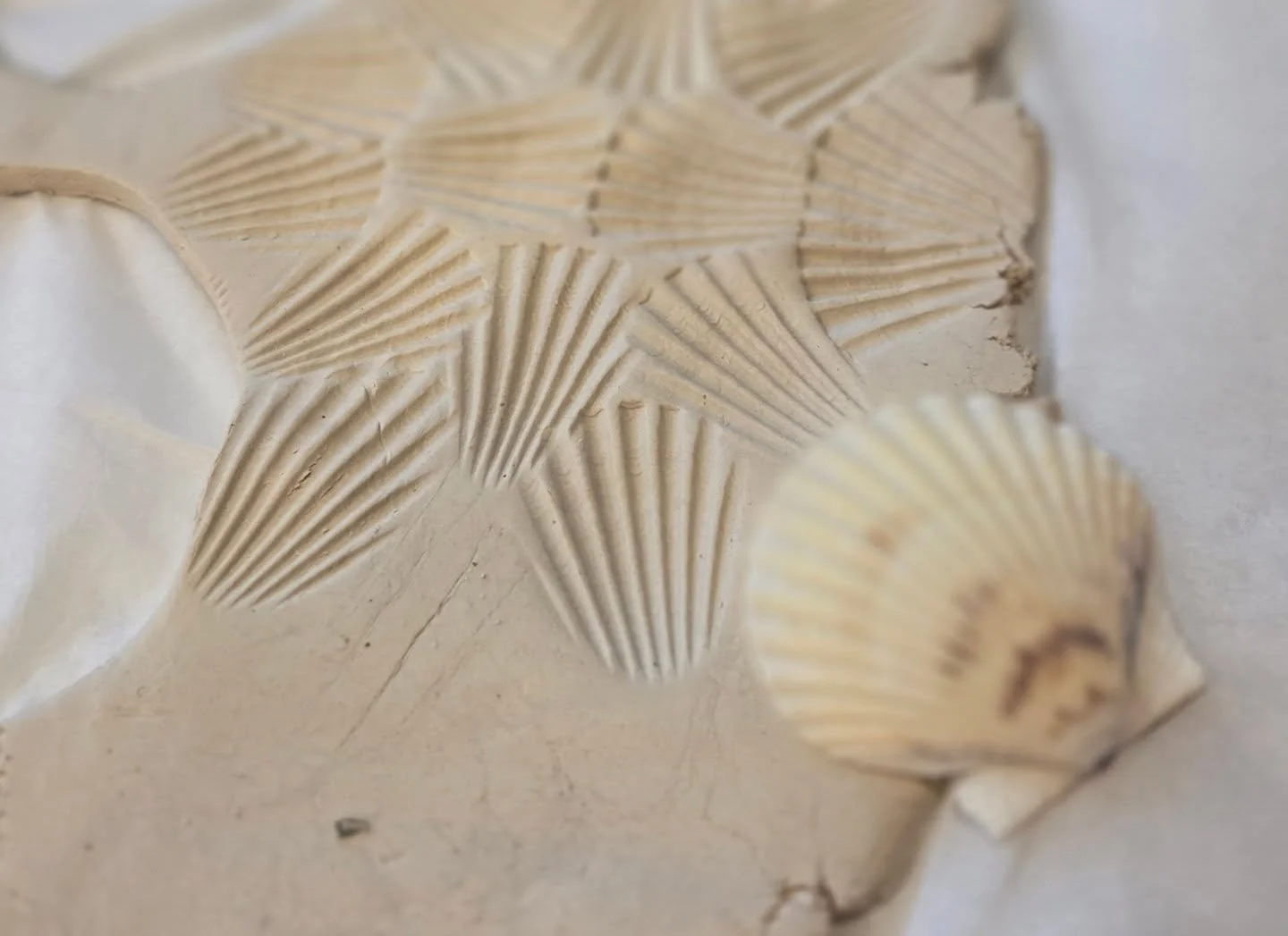 Pattern playtime during crafternoon ornament making with @ciaobella_ncm 🎄