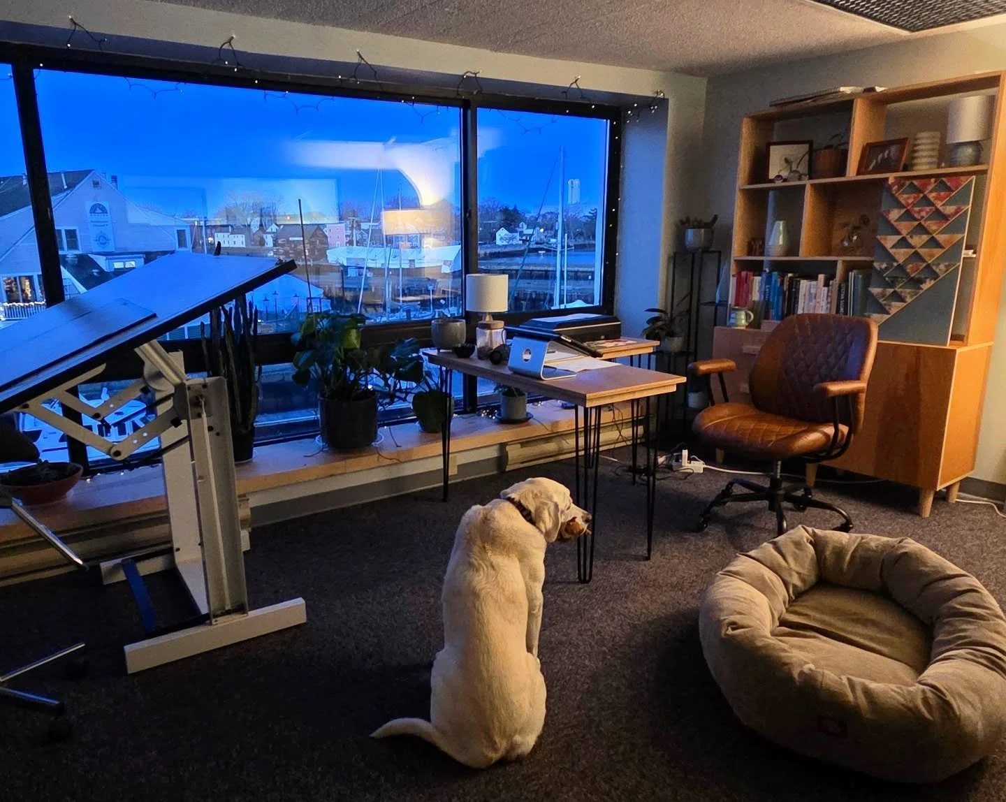 Office is starting to get festive! Strung up some solar powered lights in the windows but am thinking I need some more. My supervisor seems to agree.