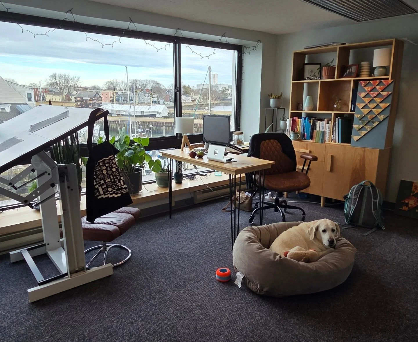 Happy Monday from me and my Chief Napping- Fetching- Therapy- Good Girl Officer. ❤️