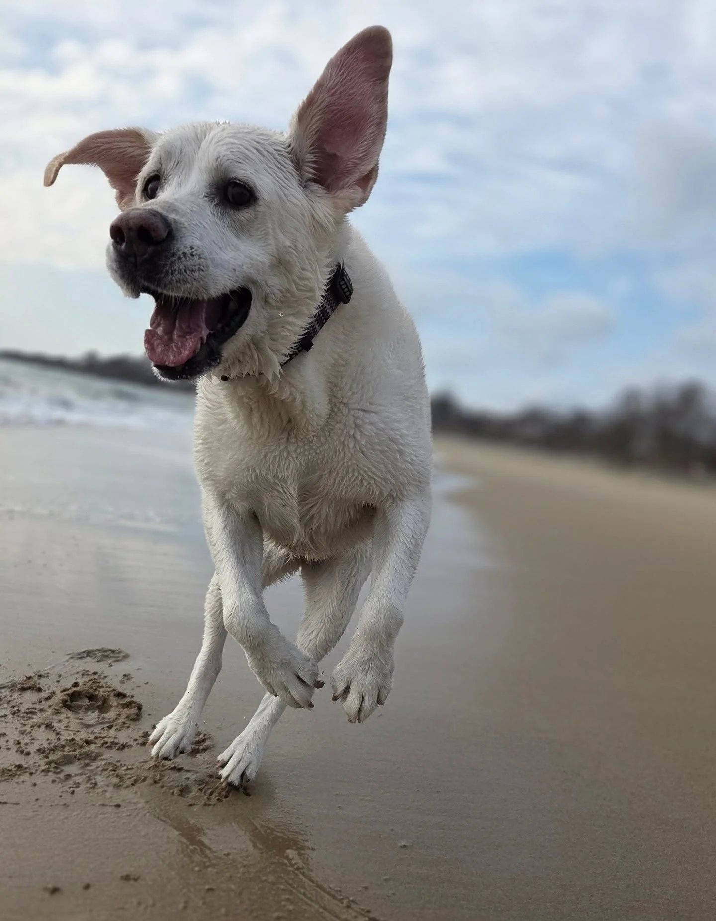 Showing signs of multiple personalities at the beach, but always a good girl.