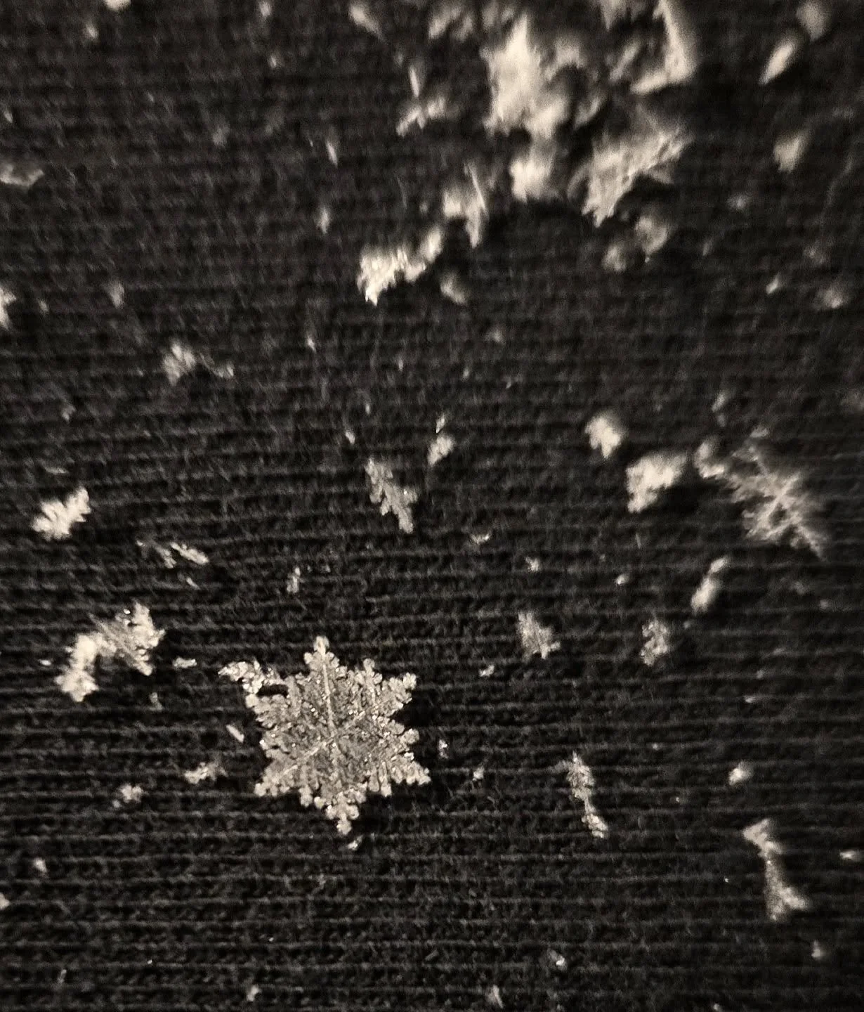 It's been snowing since midday yesterday and finally ended tonight with the most beautiful snowflakes. ❄️