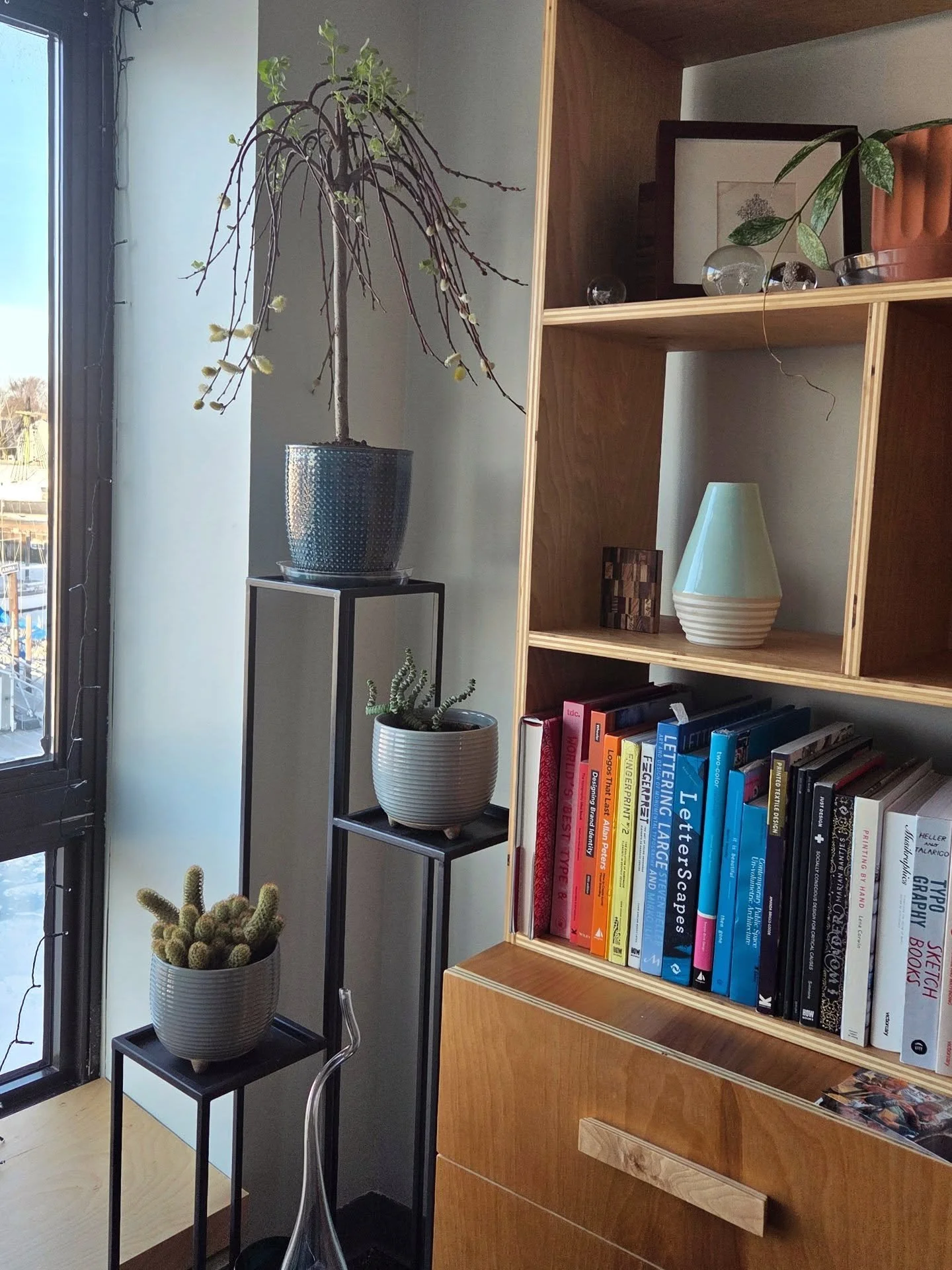 My latest plant addition is so cute that I think it deserves a name. (It's a temporary addition since it will need to be planted outdoors in the early spring, but fun to enjoy it indoors while I can!)
