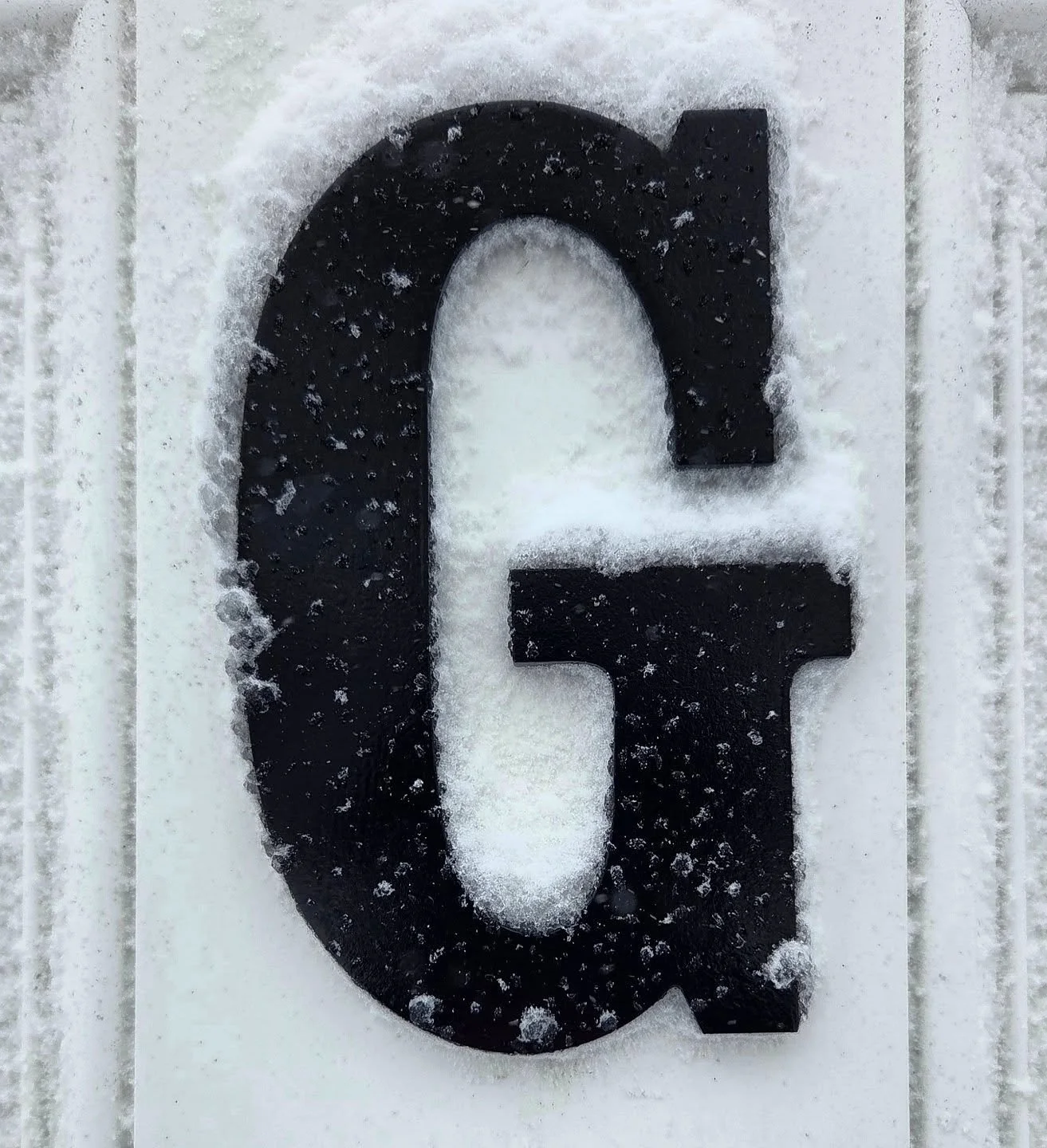 Grateful to my amazing neighbor who surprised me by snowblowing the end of my driveway! At noon we were around one foot of snow here on the North Shore, although I think the South Shore is at twice that already. #blizzard