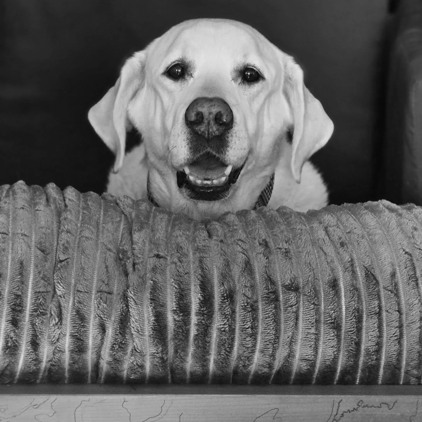 Enjoyed a long weekend in Vermont... winter nature textures, fireplace, and Ellie's first adventure in the new camper van. And a lovely hand painted ampersand.