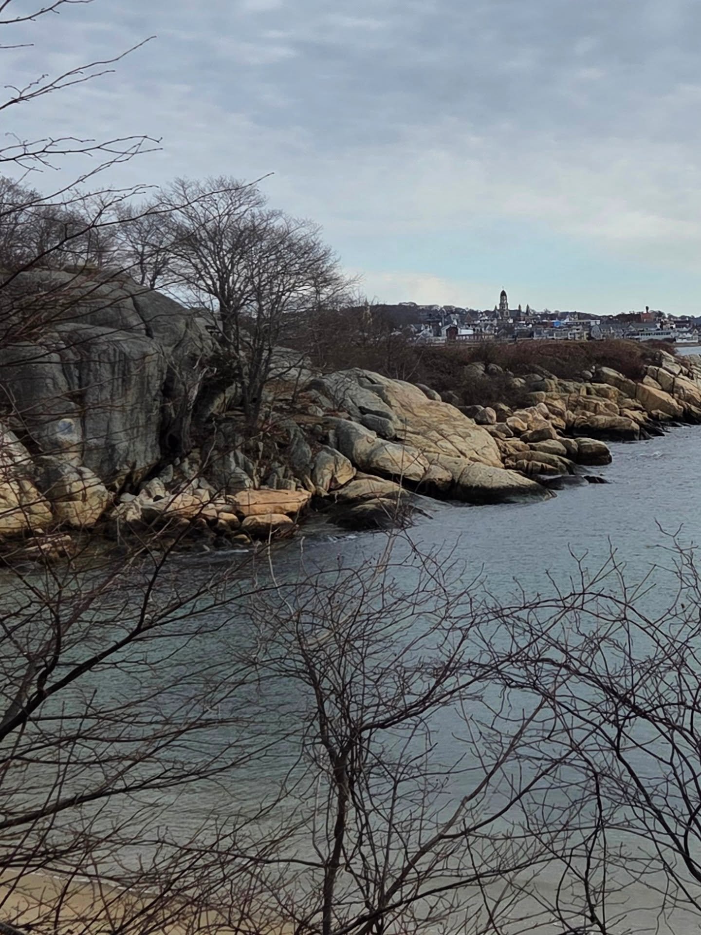 Took a break from work this morning for a walk in Gloucester at Stage Fort Park. Met some friendly people and frosted faced dogs. Surprised our favorite gas station guy with breakfast goodies. Perfect way to start the weekend!