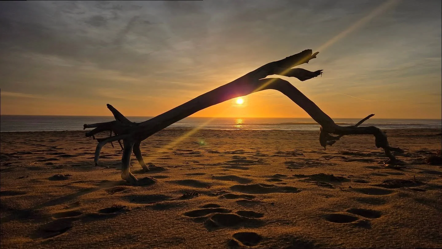 National Seashore sunrise working her magic from Newcomb Hollow Beach. And a very loyal velcro lady who insisted on sitting on my lap. @capecodnps