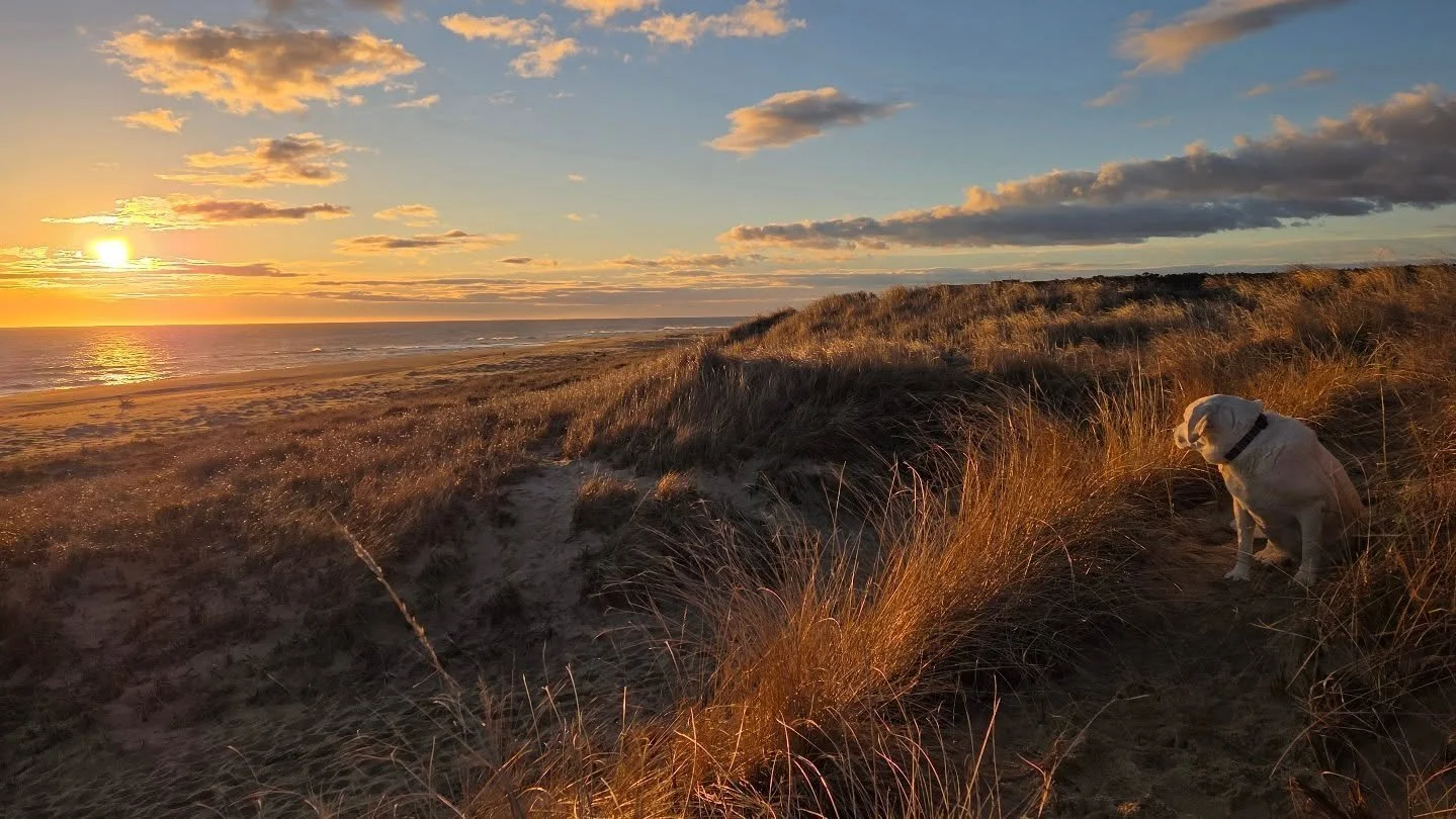 Head of the Meadow Beach at sunrise. @capecodnps