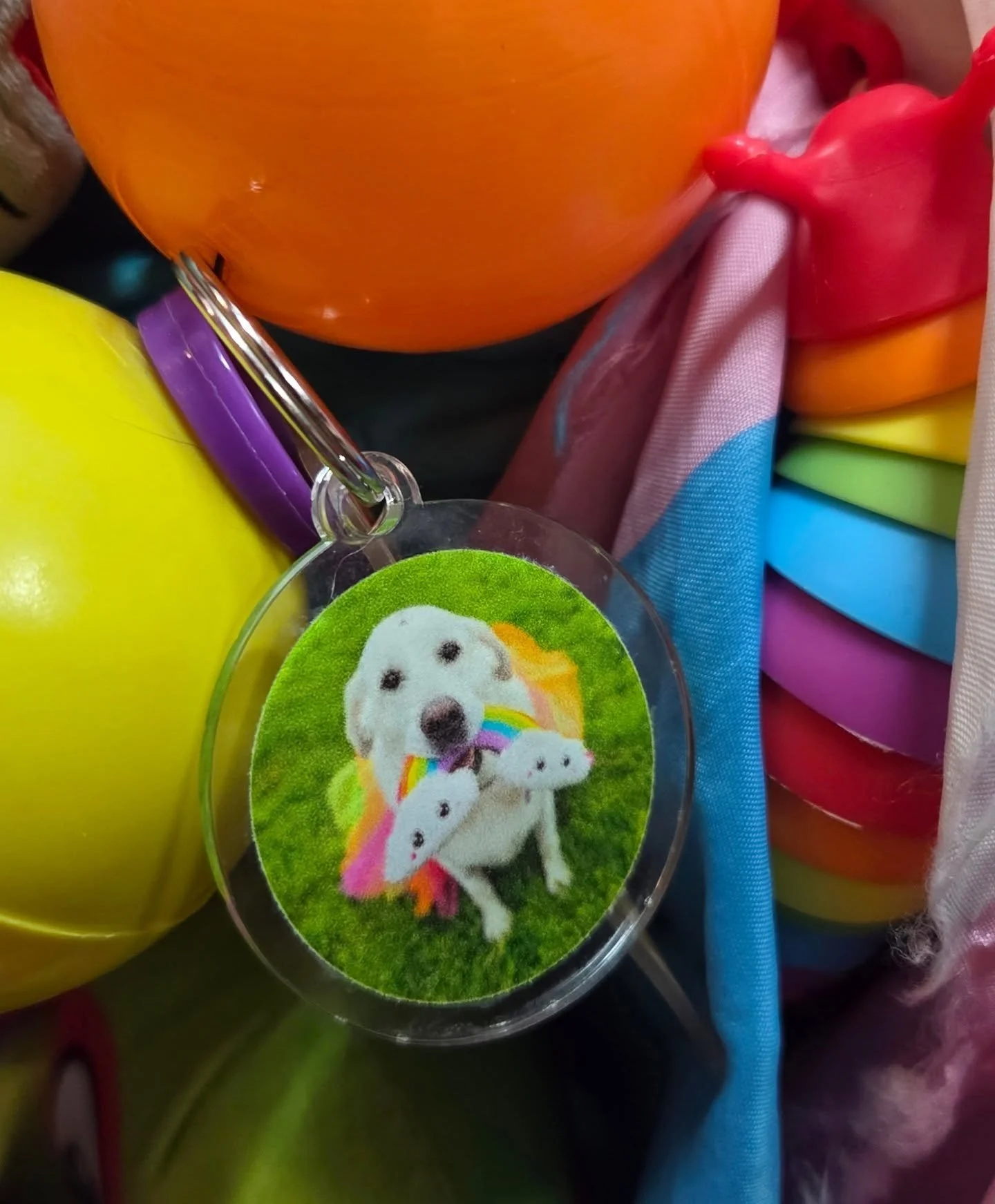 Always a womderful way to end the work week... dog therapy team visit at @northshoreagly 🌈❤️ Love seeing the keychains out in the wild!!!