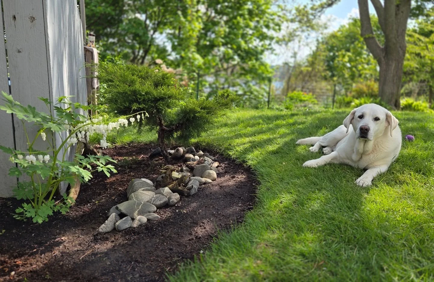 The bestest gardening assistant.