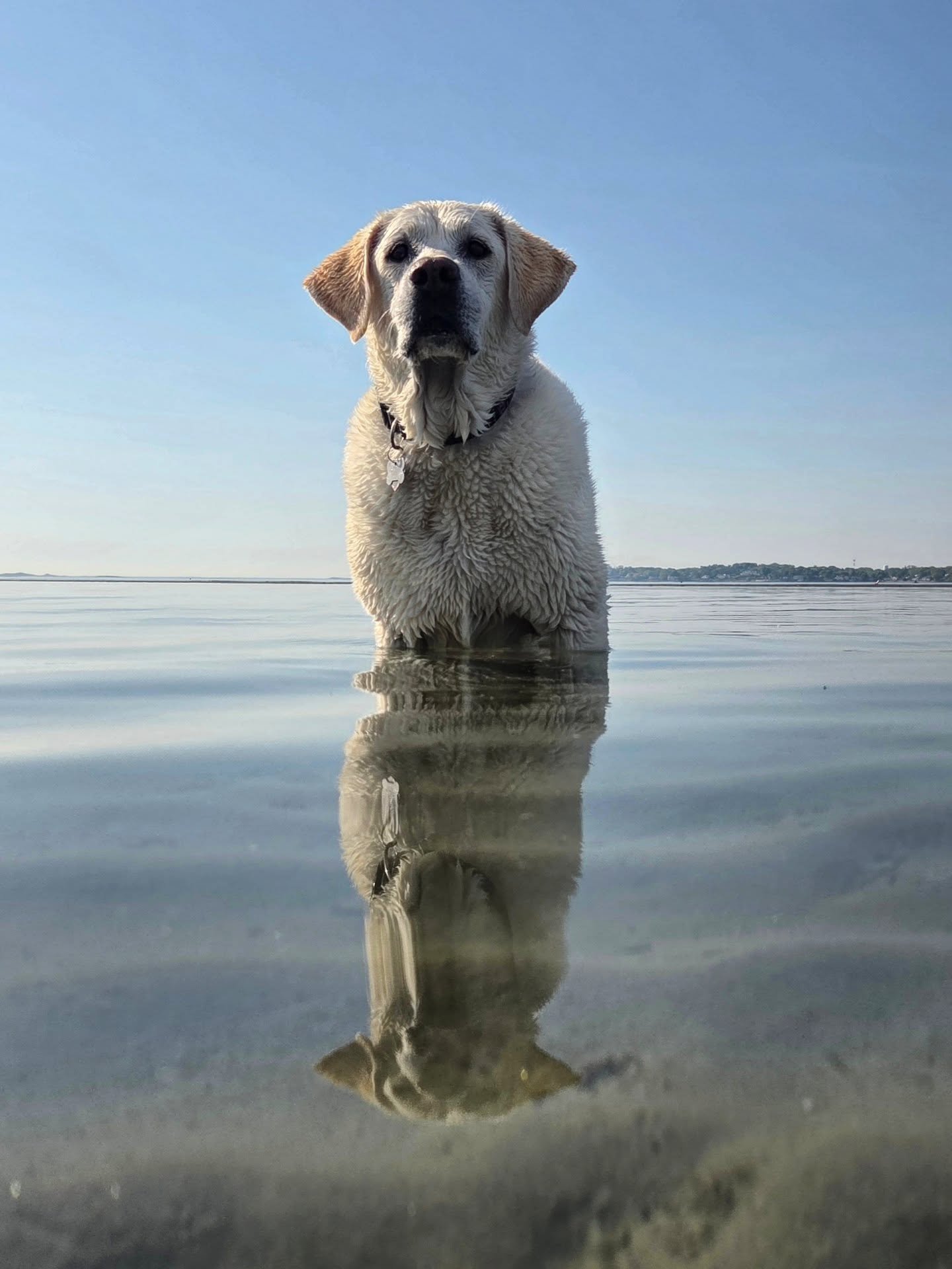 I love timing our morning beach walks when the tide is far out!