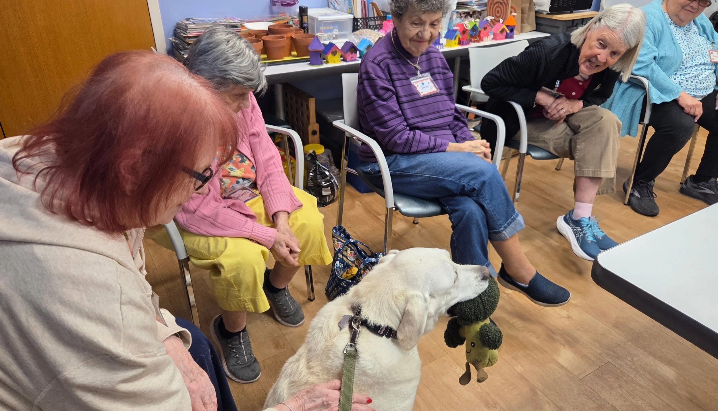 Great therapy visit at the Danvers Senior Center this morning! The wonderful group and staff make our visits so fun.