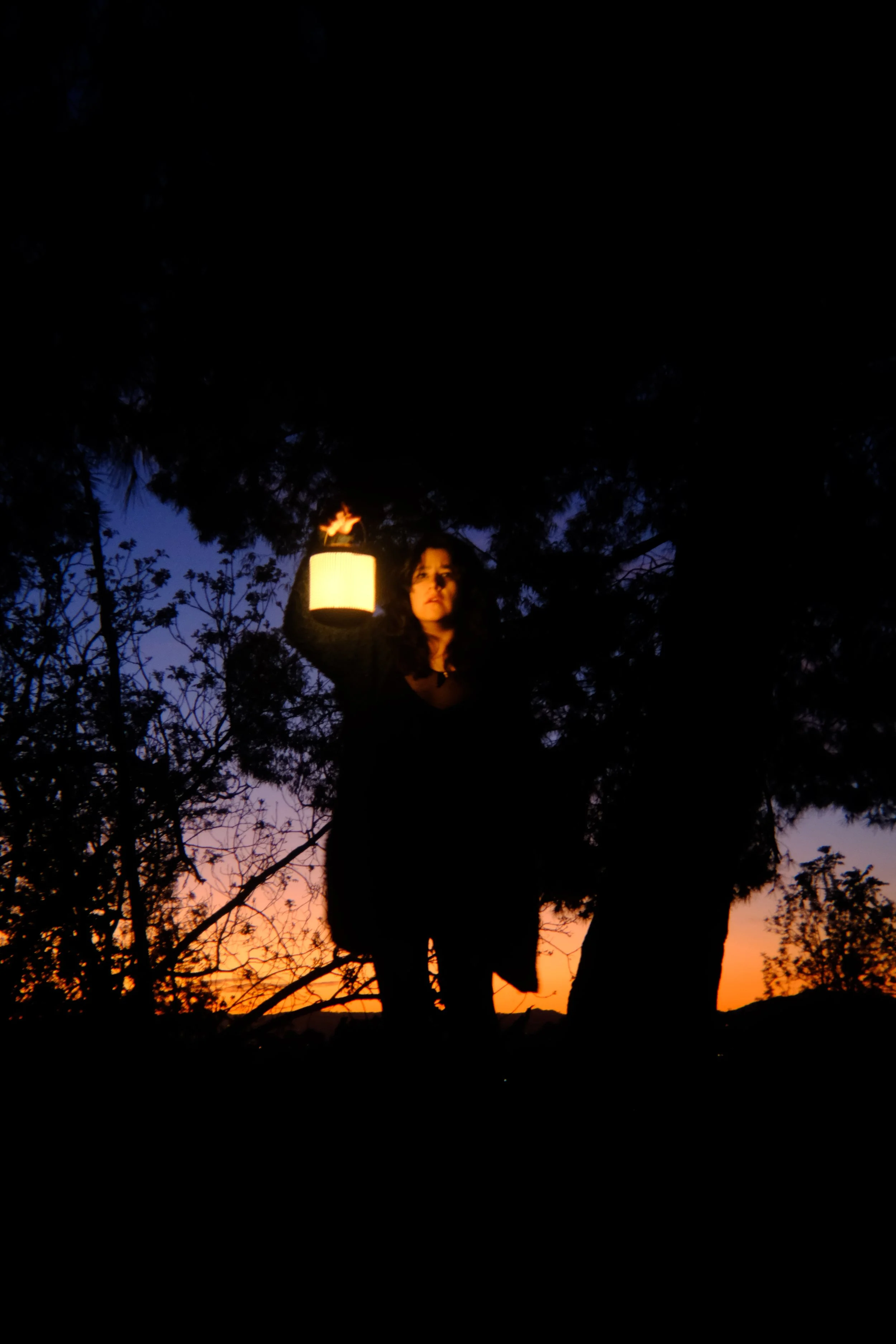 short film― The Women of the Nightbirds