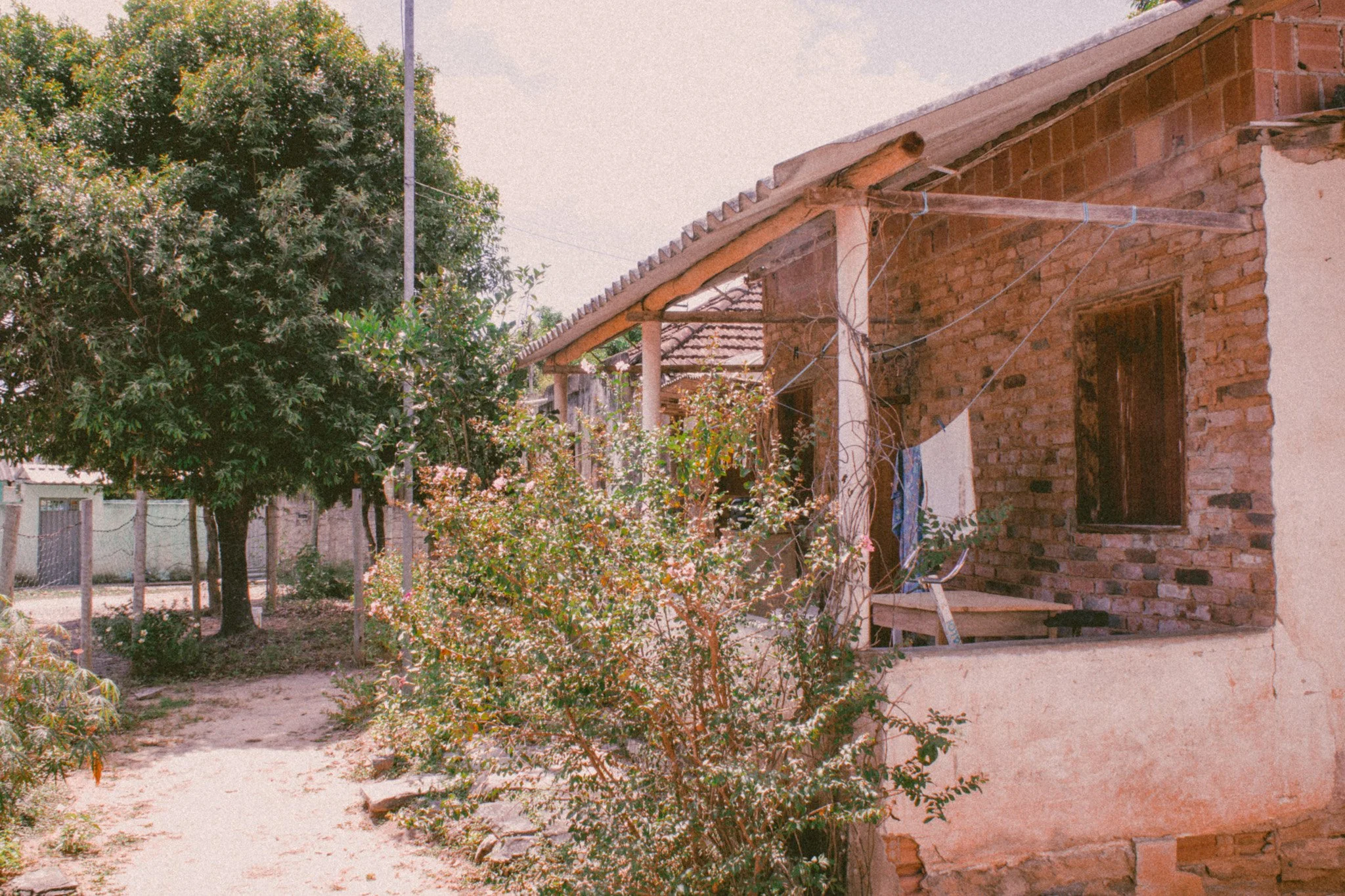 feature documentary― PRESENTE! 