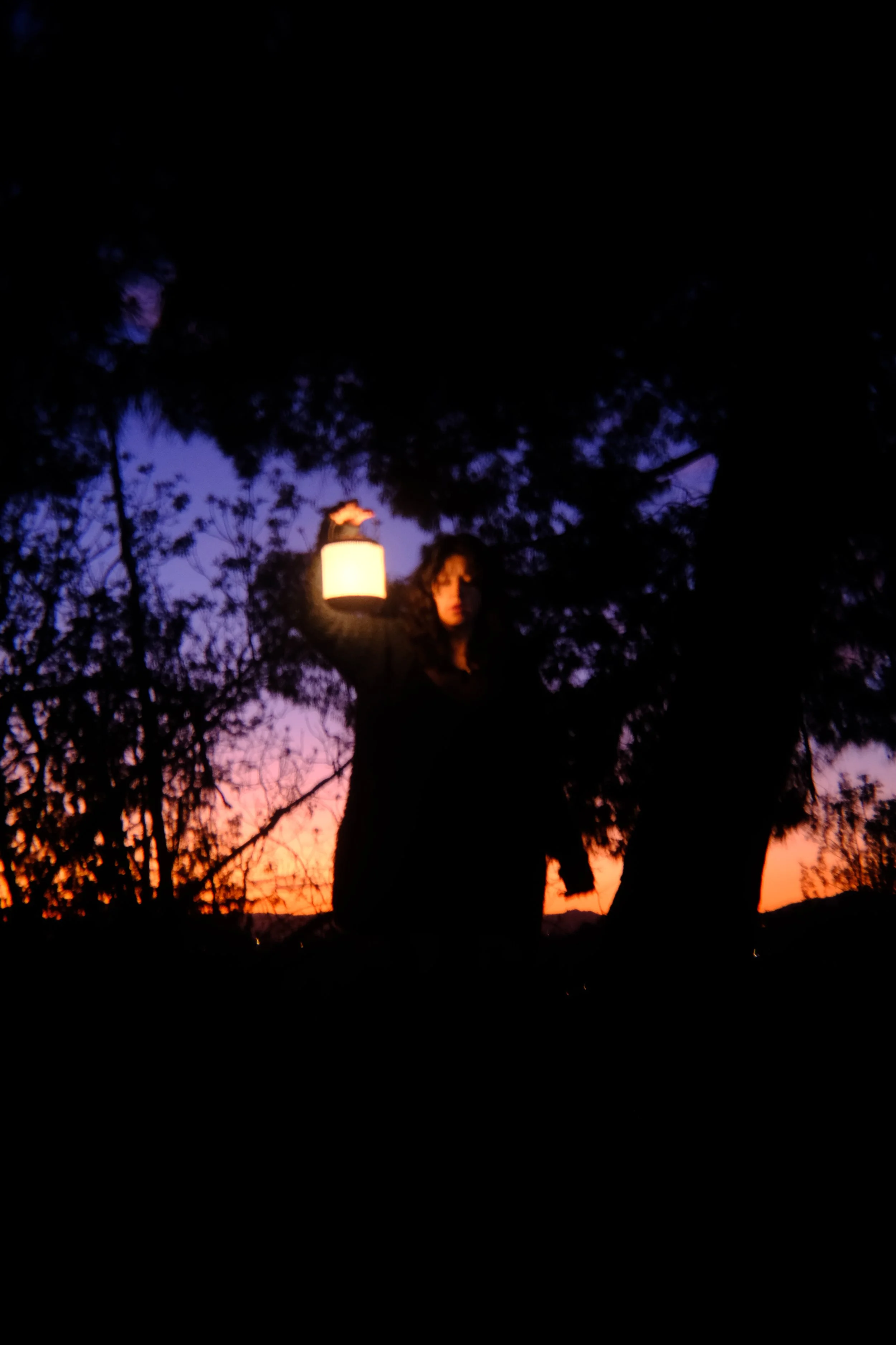 short film― The Women of the Nightbirds