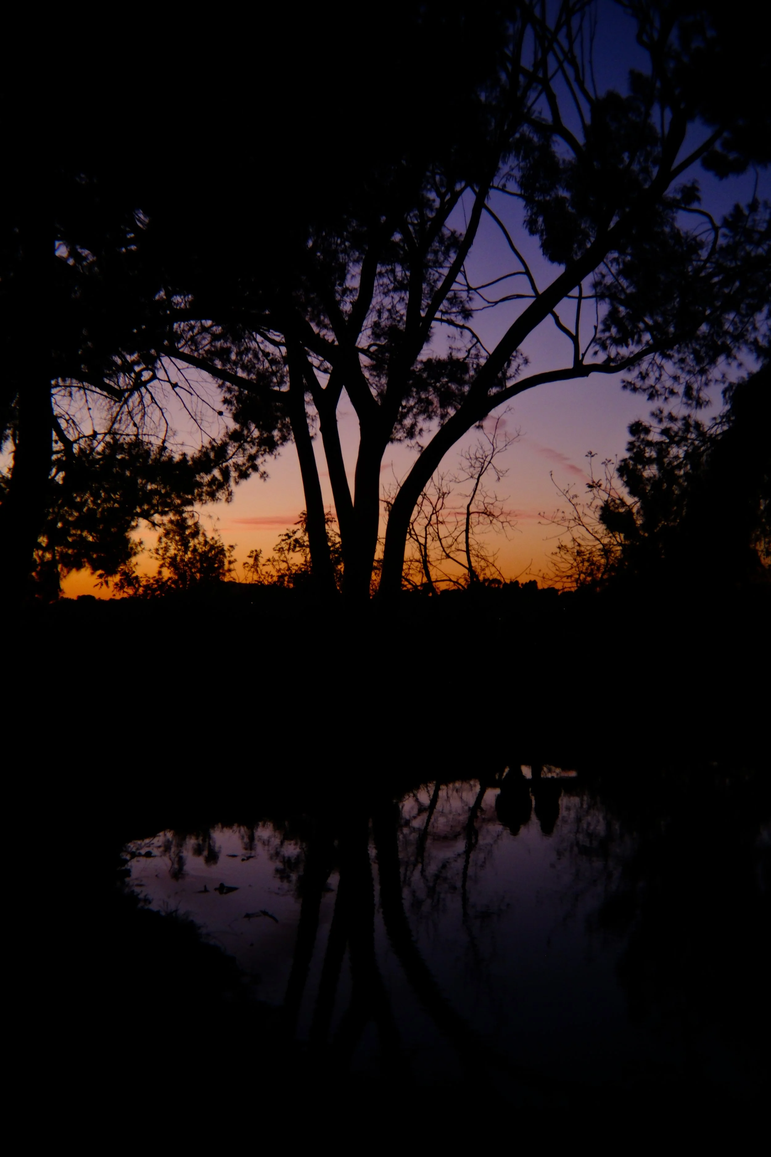 short film― The Women of the Nightbirds