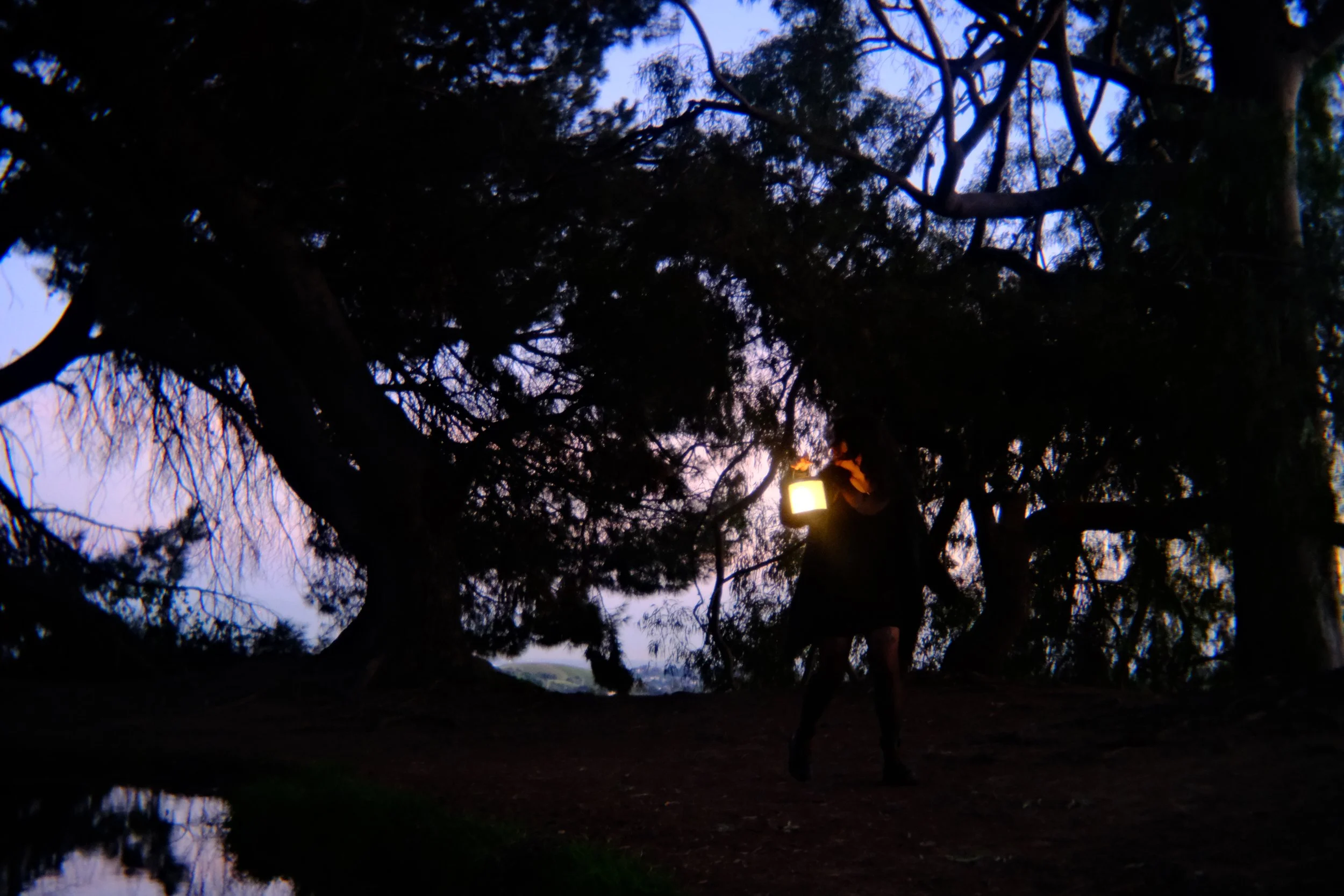 short film― The Women of the Nightbirds