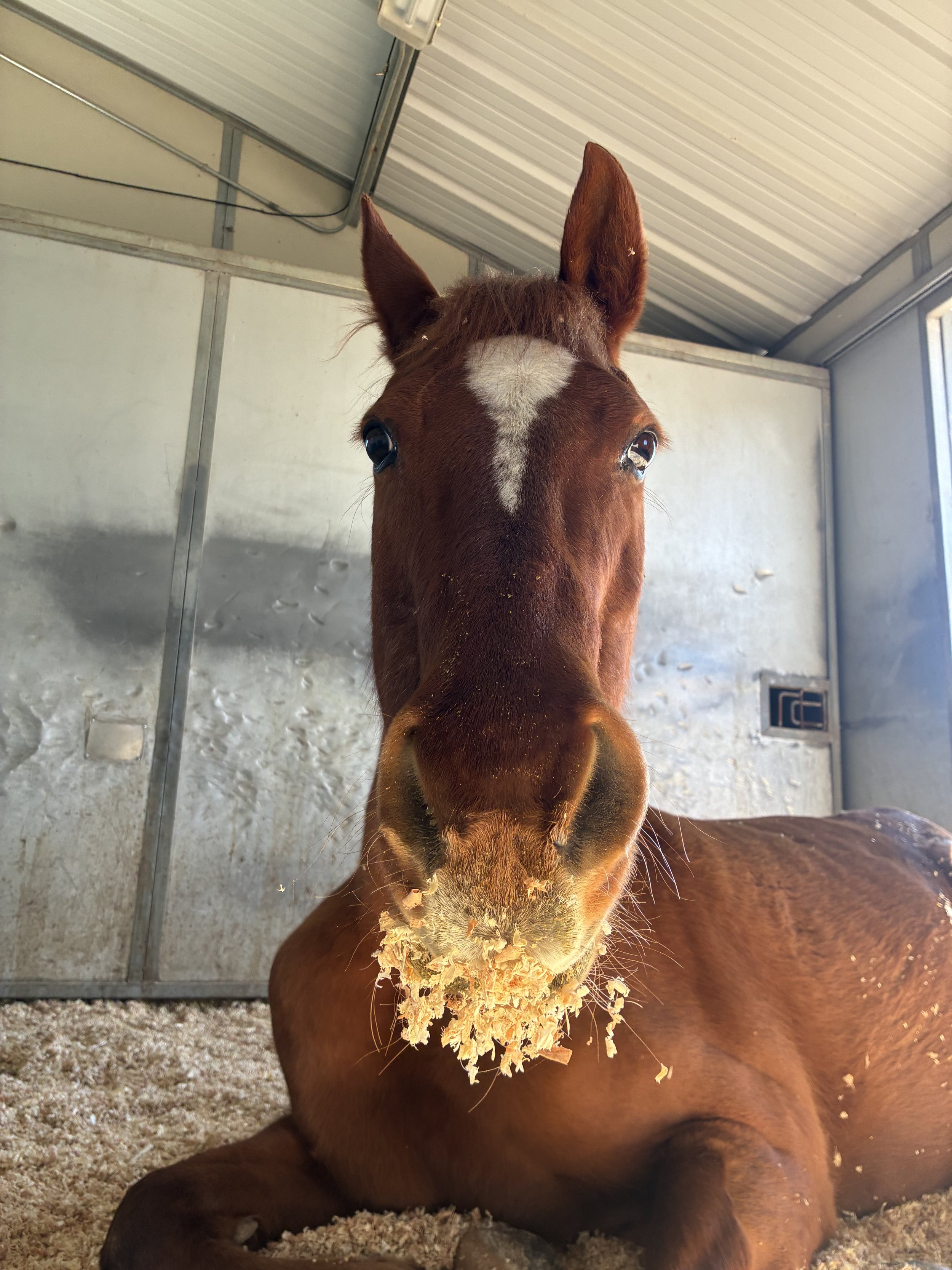 Understanding &amp; Kindness First 