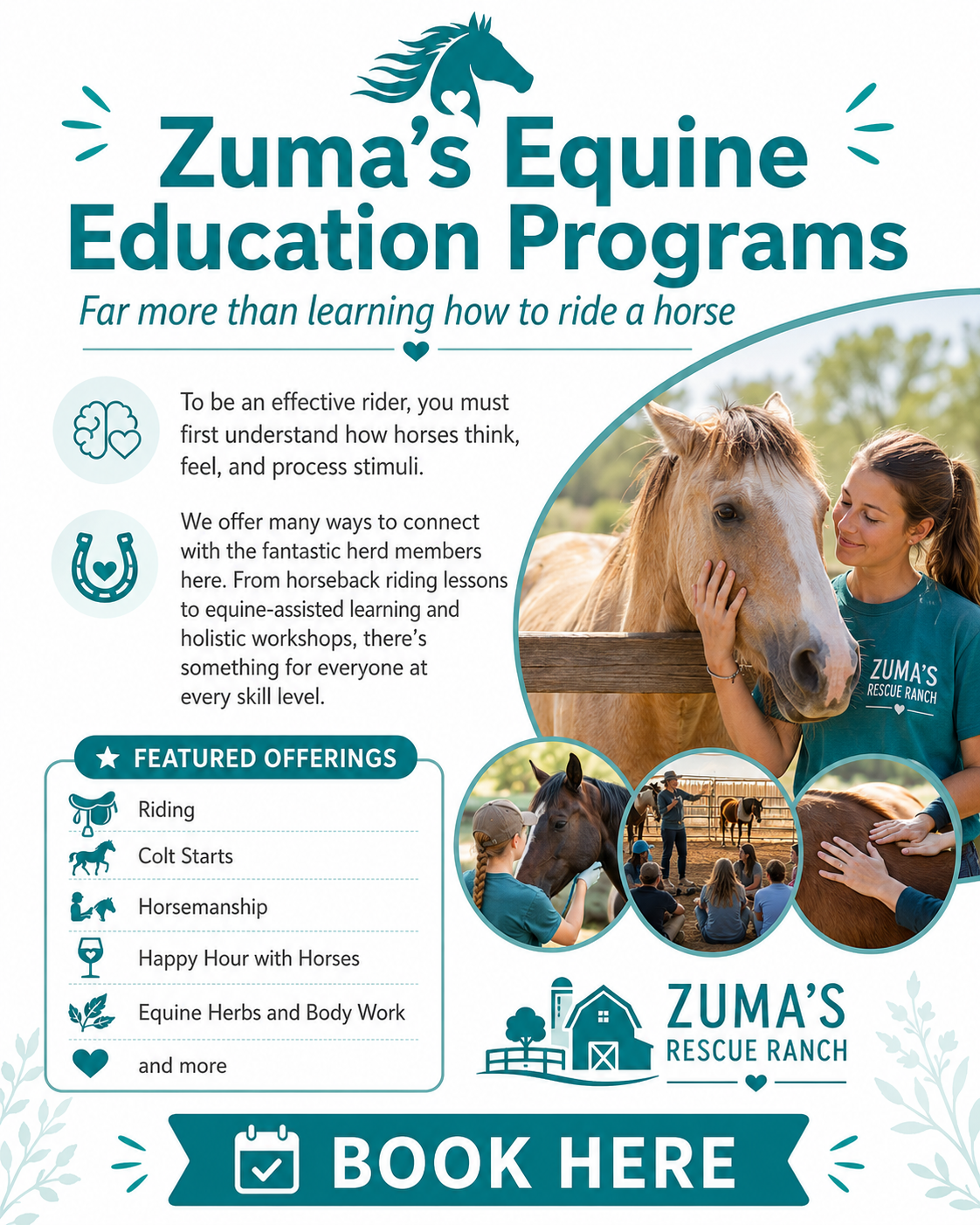 Poster for Zuma's Equine Education Programs featuring a woman petting a horse, with smaller images of people riding, caring for, and learning with horses, promoting horse-related activities and workshops at Zuma's Rescue Ranch.