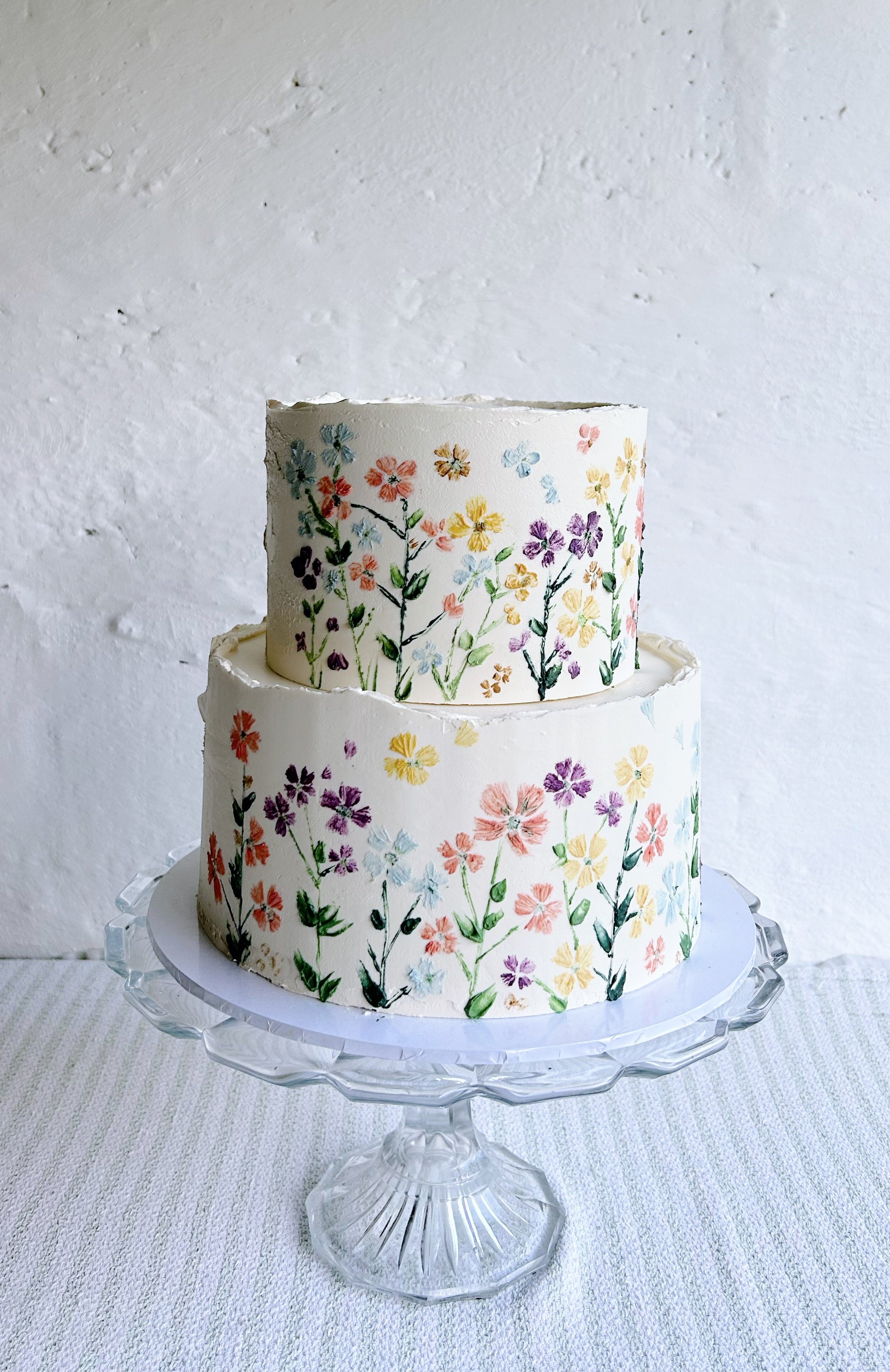 Hand painted cake Bristol