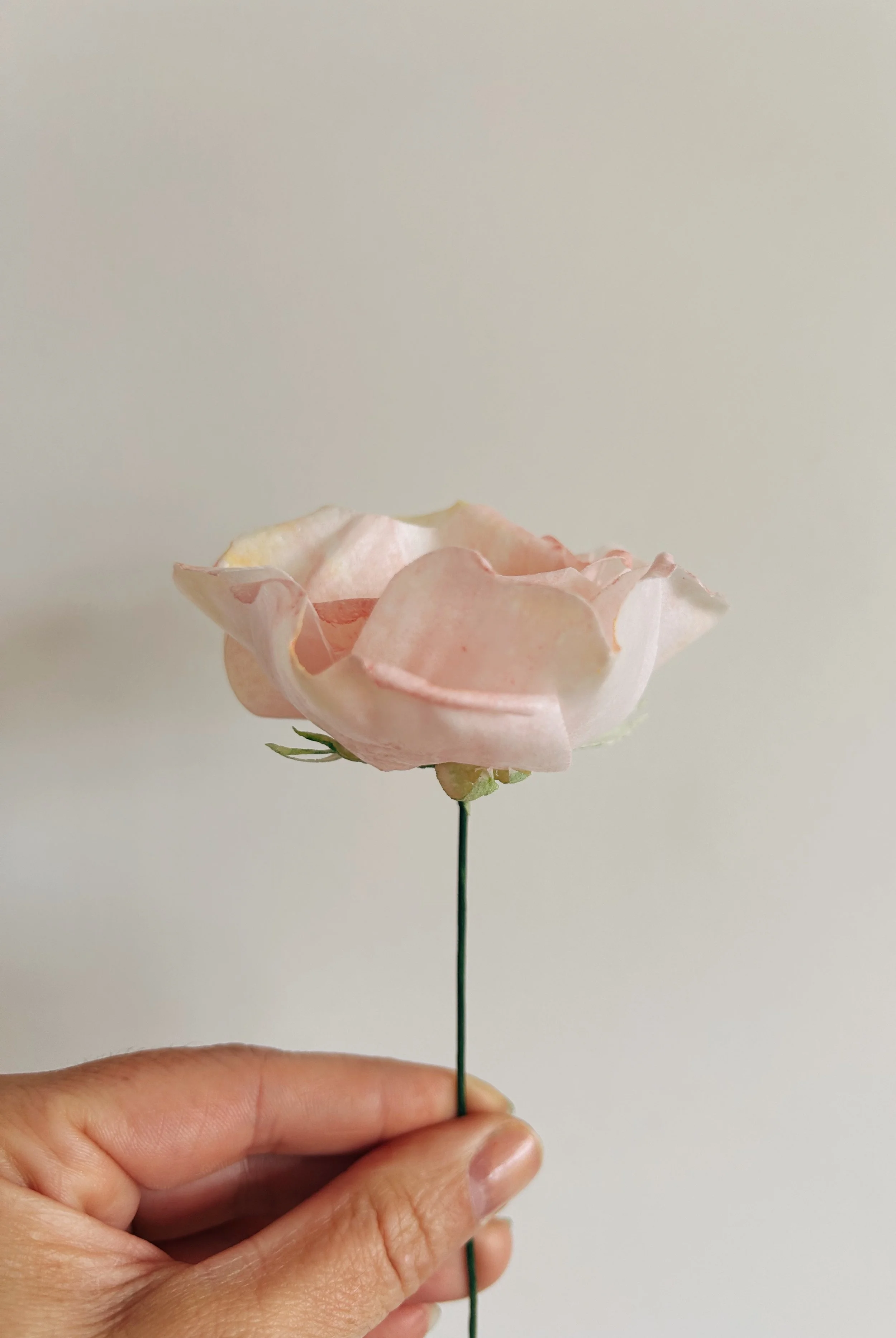 Wafer Paper Rose Bristol
Tara Katie Cakes
Wedding Cakes Bristol