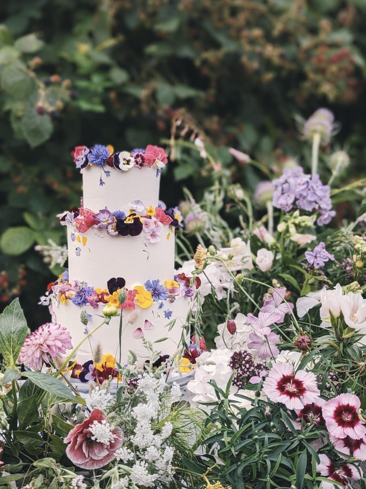 Tara Katie Cakes
Wedding Cakes Bristol
Edible flower wedding cake