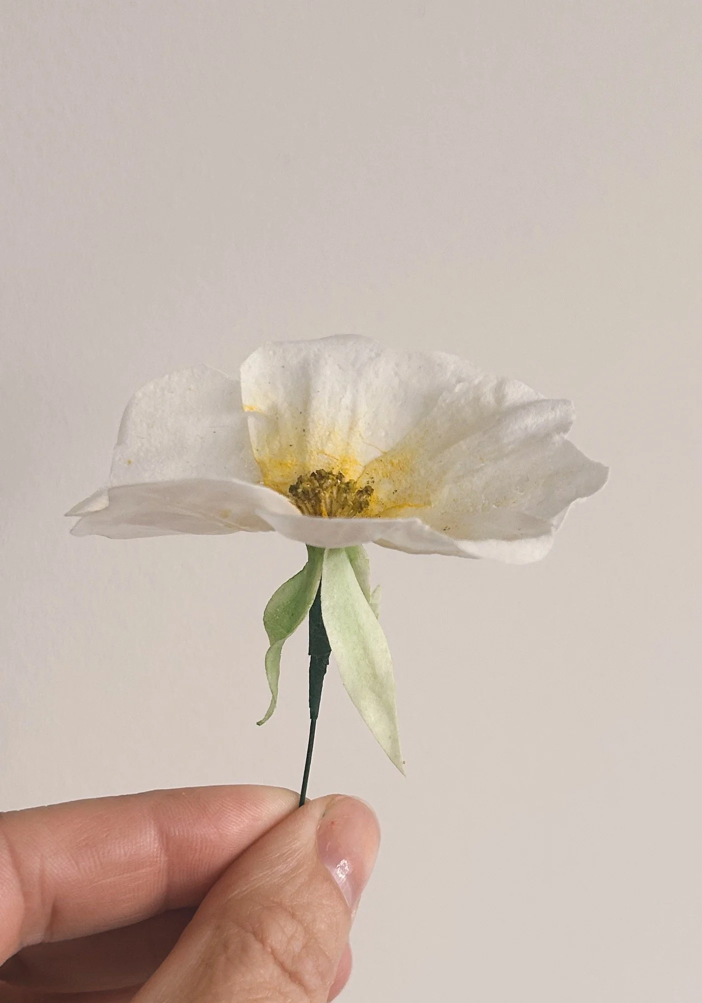 Wafer Paper Flower Bristol
Tara Katie Cakes
Wedding Cakes Bristol