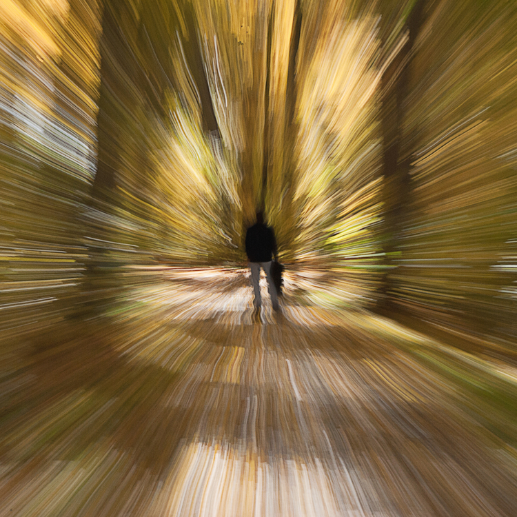 Concussion and brain injury