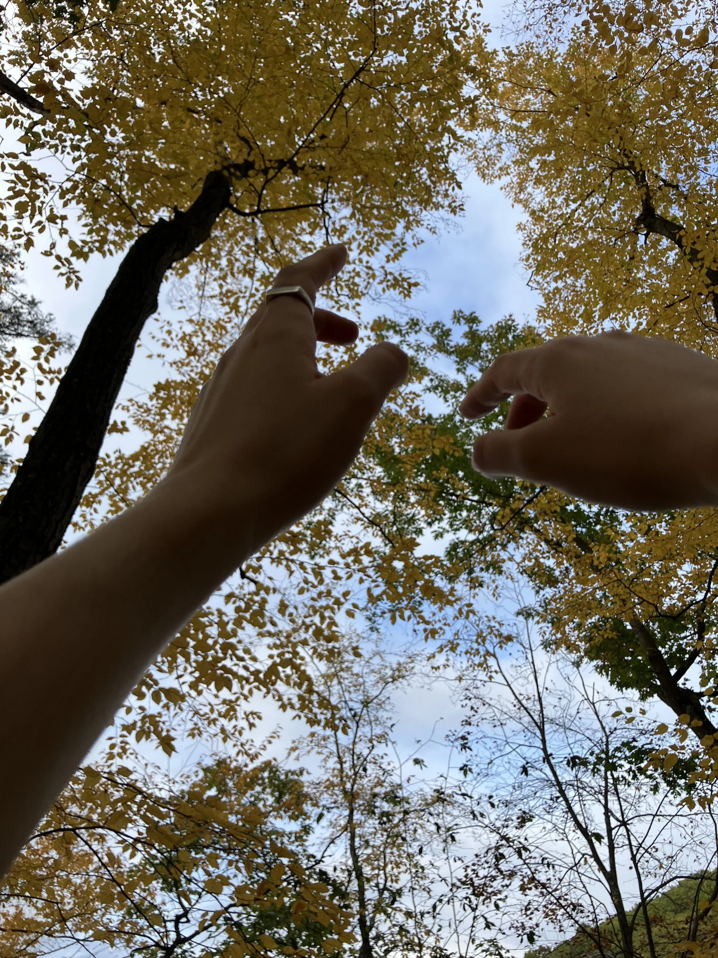 SOMA: explorations in embodied movement