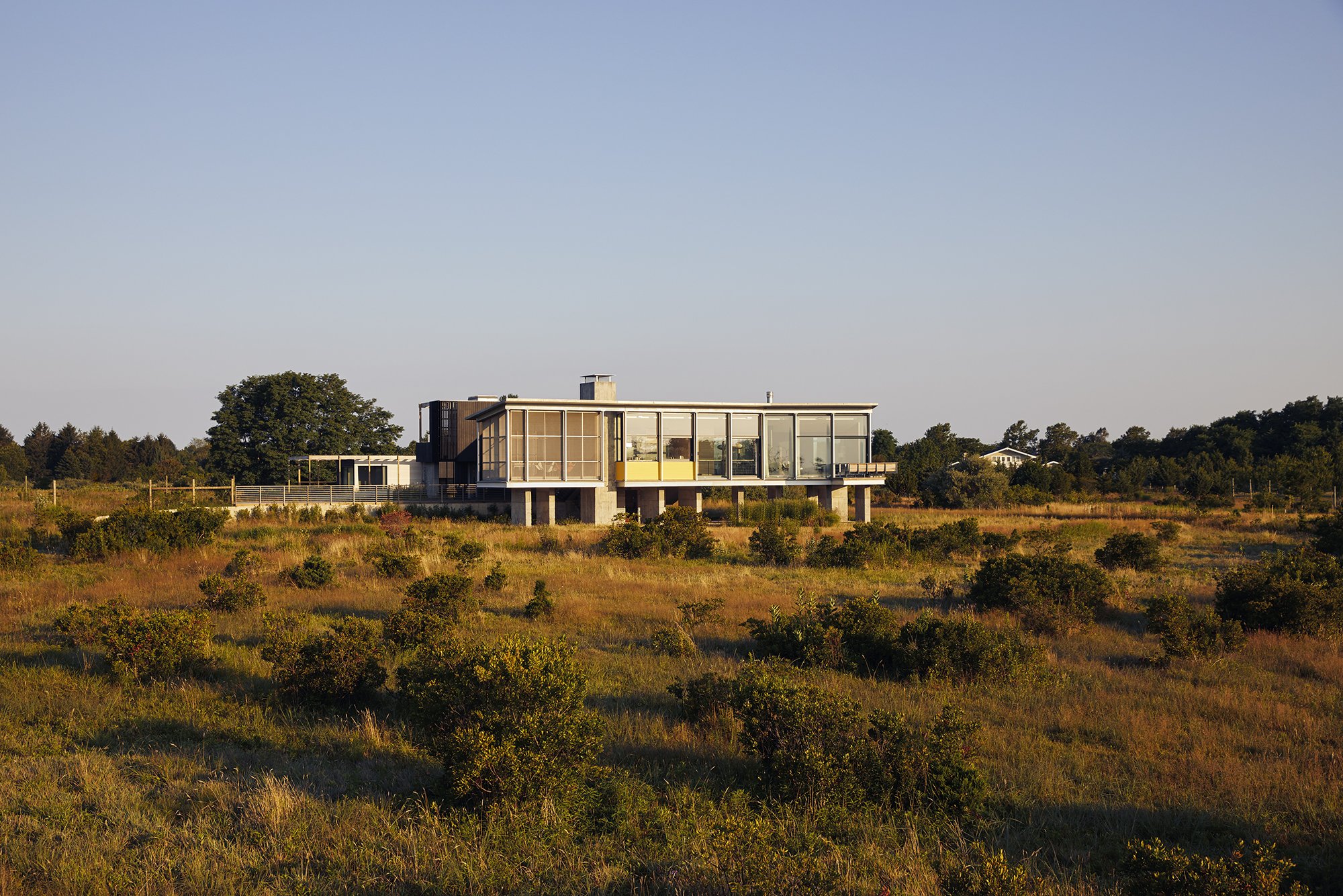 Cohen Residence