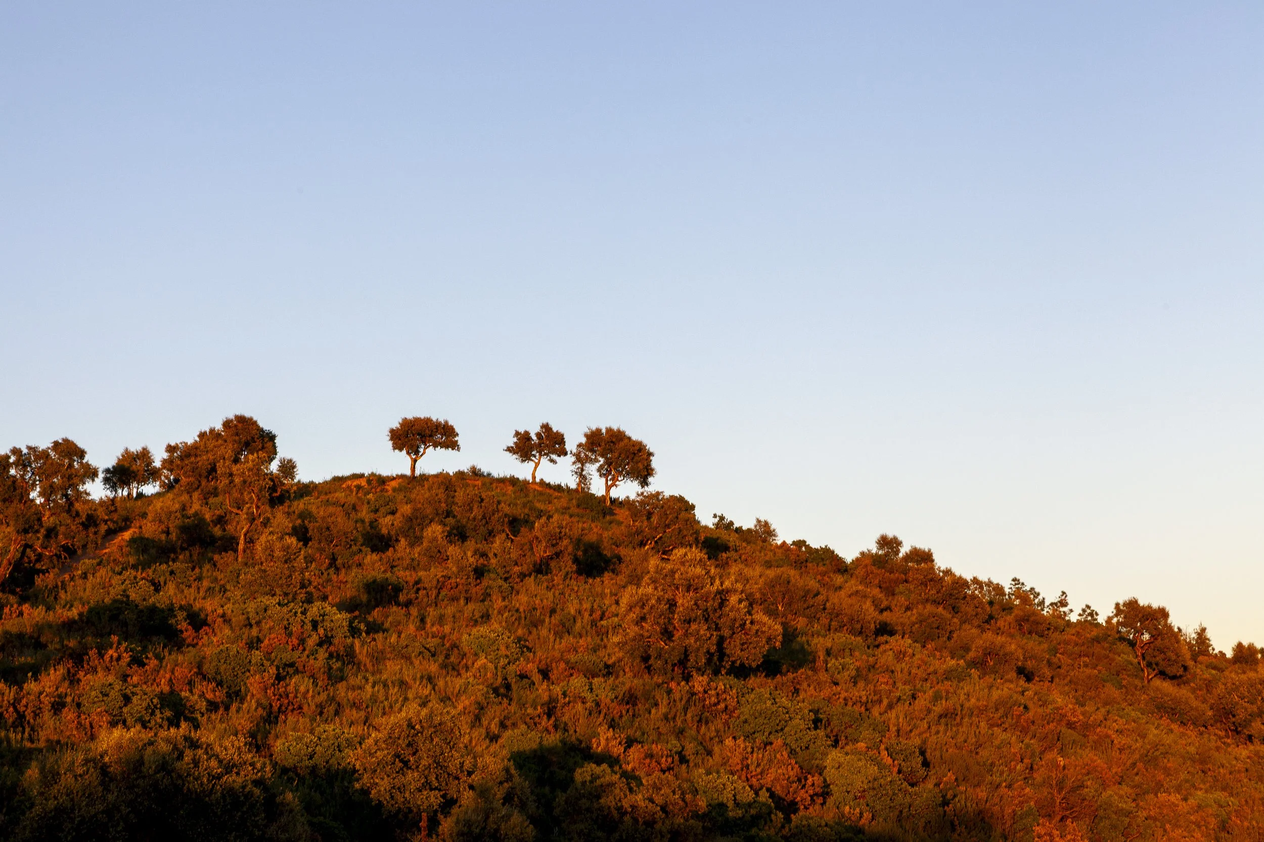 Reportage pour le Domaine Ott