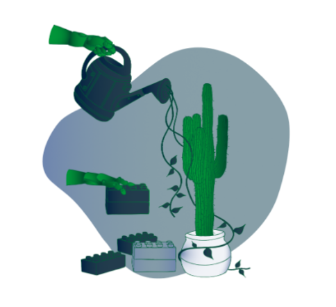 Veranstaltungsreihe für Fachkräfte für gelebte Solidarität und praktisches Empowerment