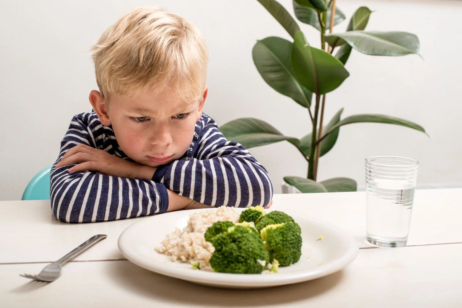 iStock-824621154.jpg