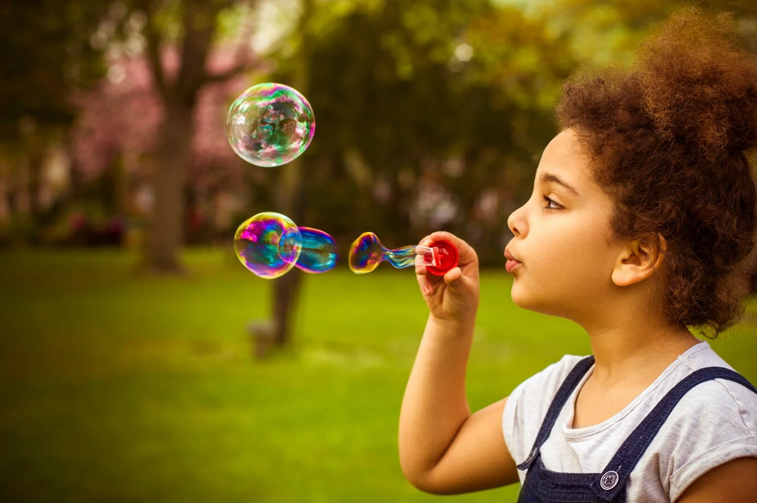 iStock-522763021.jpg
