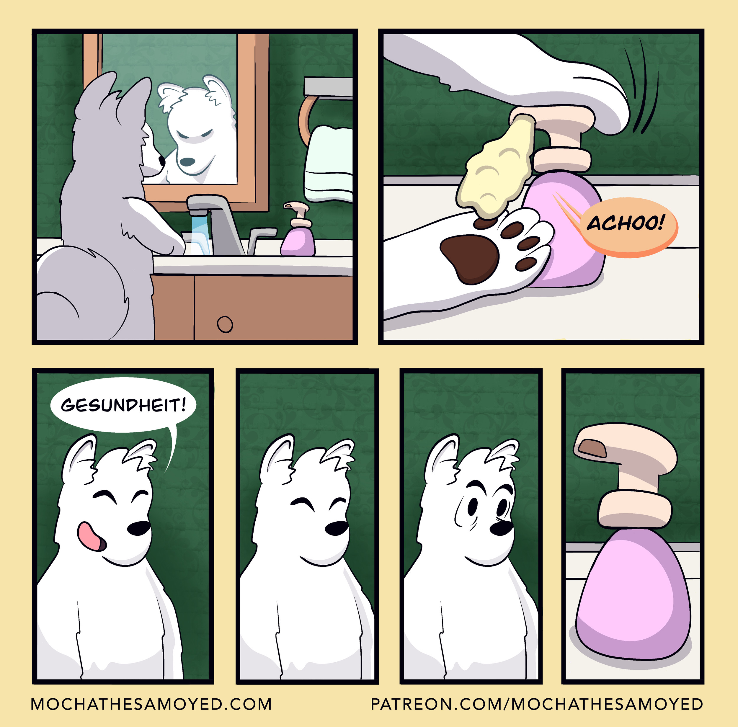 The Soap Whisperer