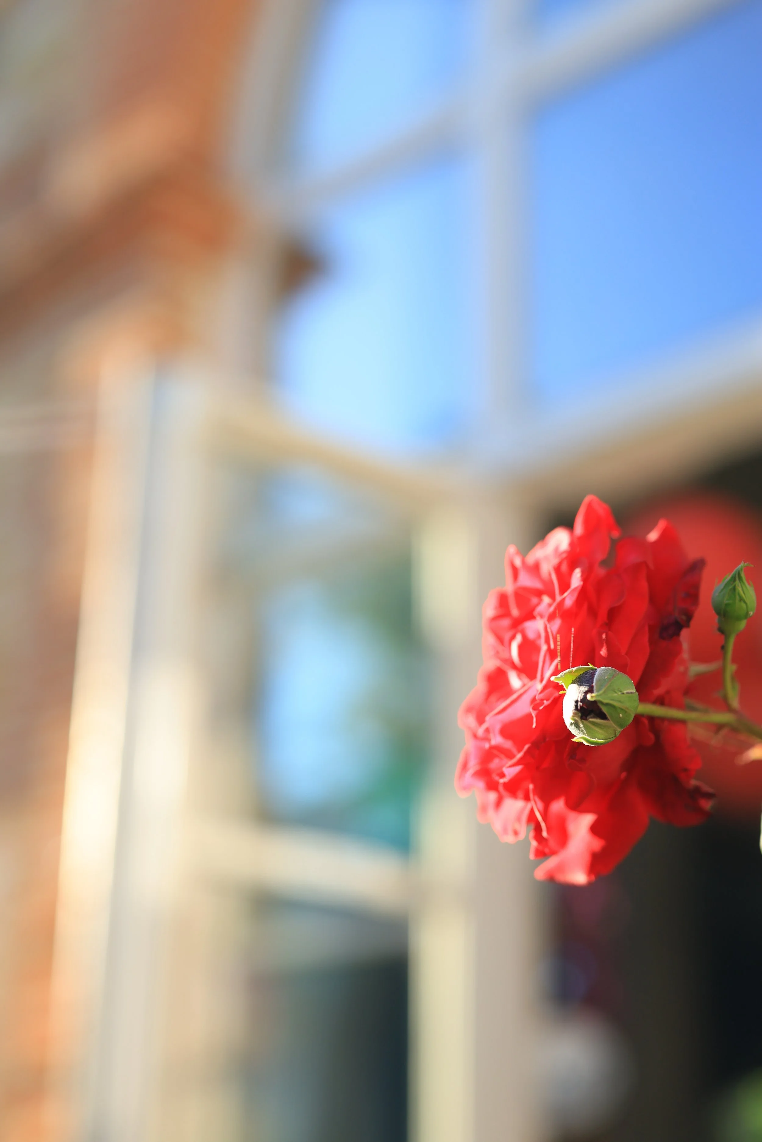 STEPHANIE MADAULE PHOTOGRAPHE  (352).JPG