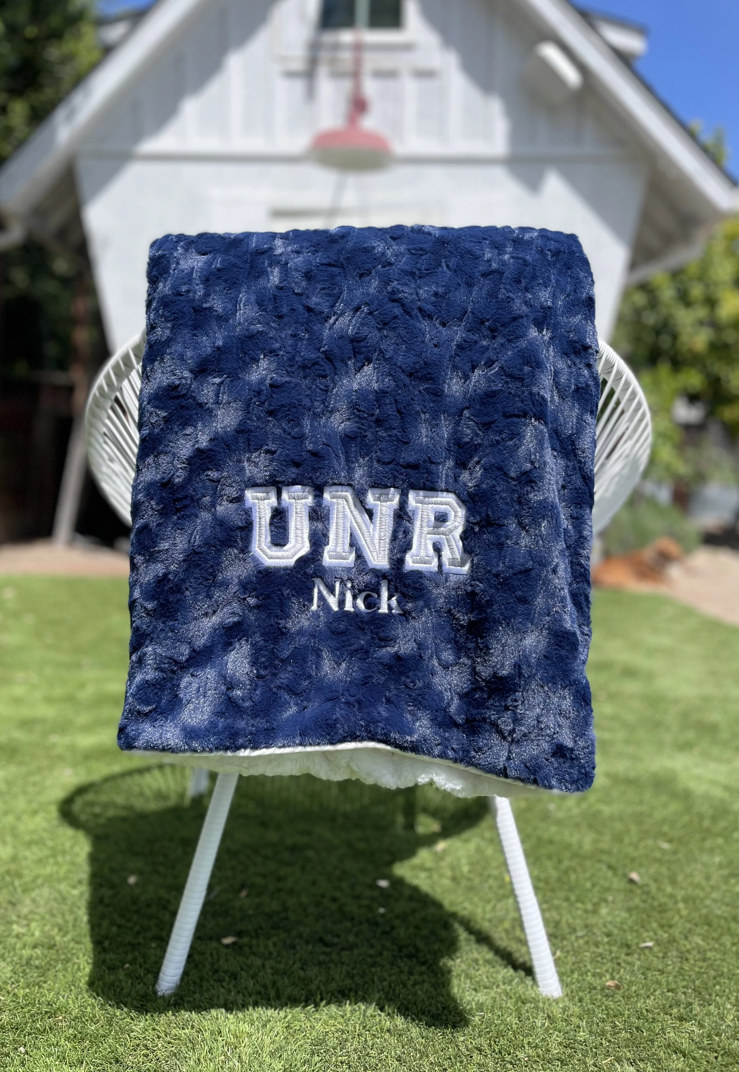 Navy  Collegiate Sport