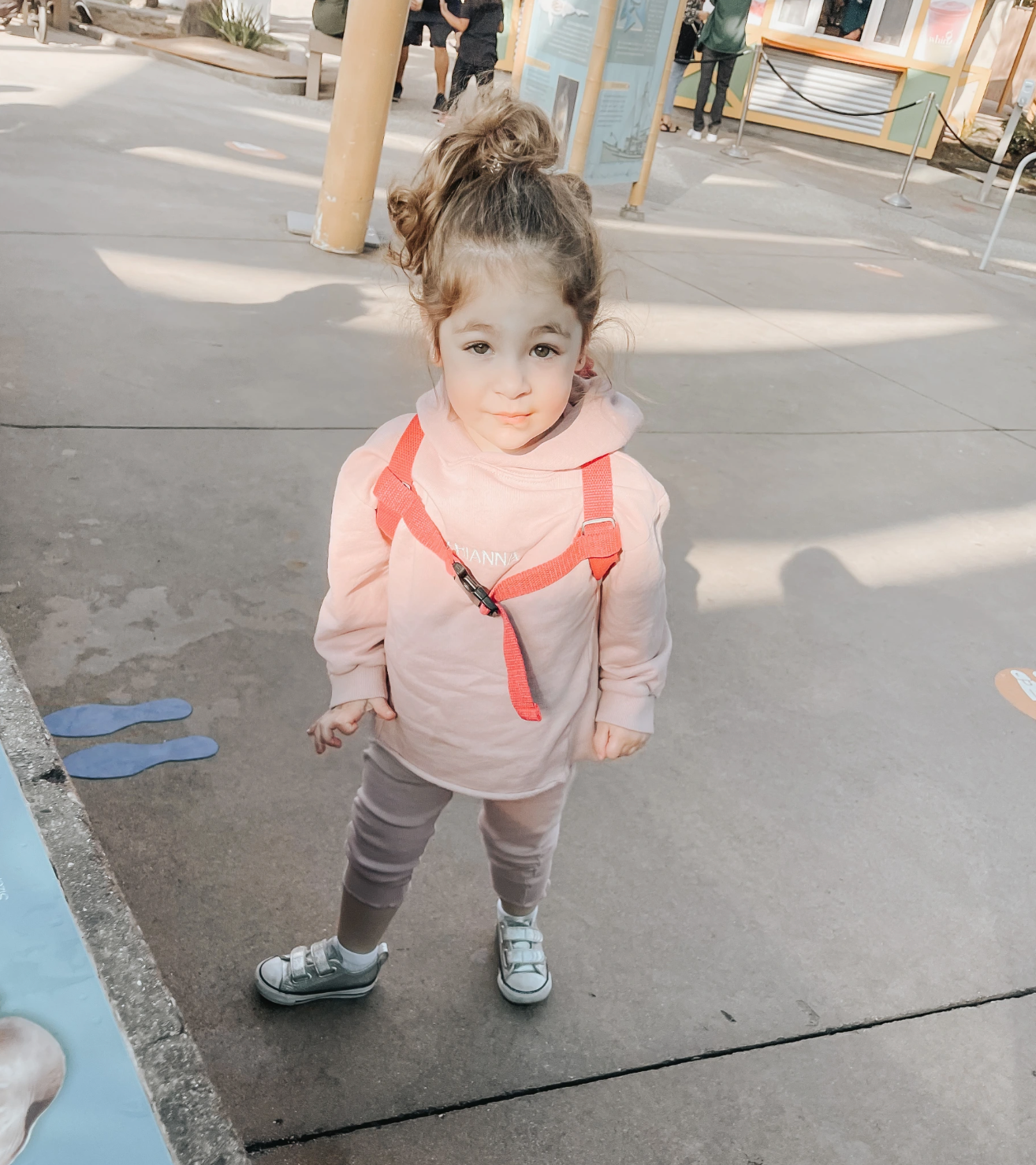 A DAY AT THE AQUARIUM