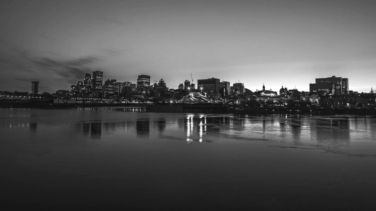 Cat Around Films Inc photo 5