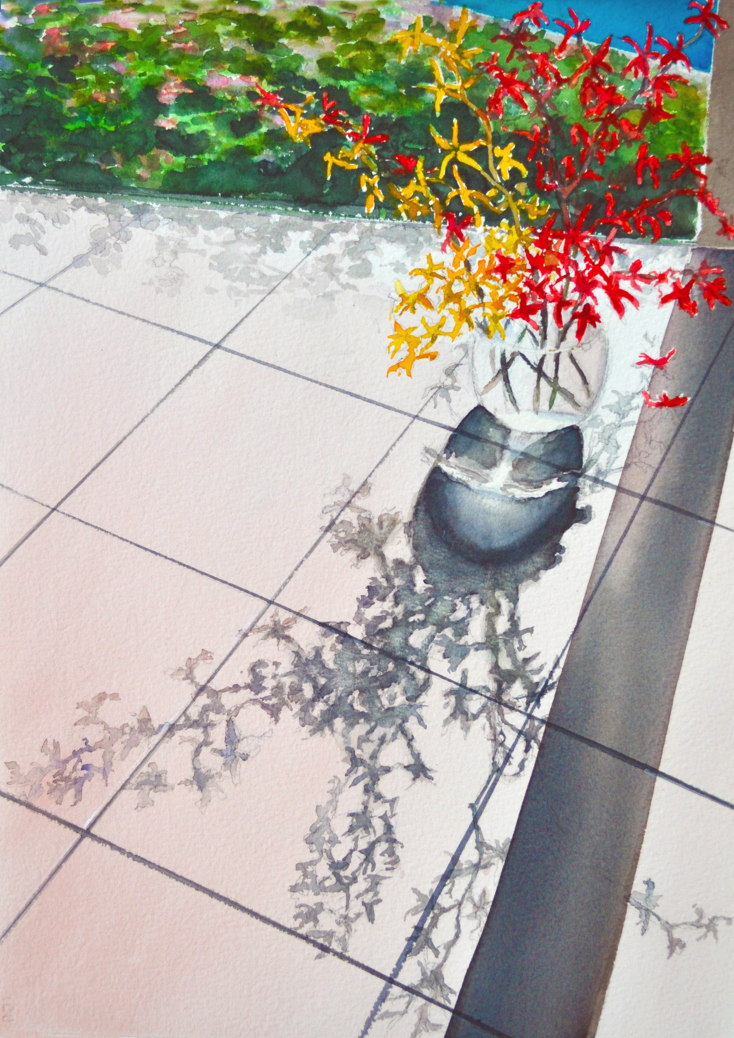 Orchid Lo_res.jpg