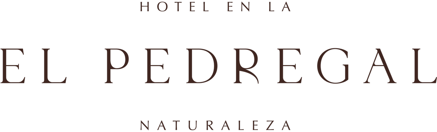 El Pedregal