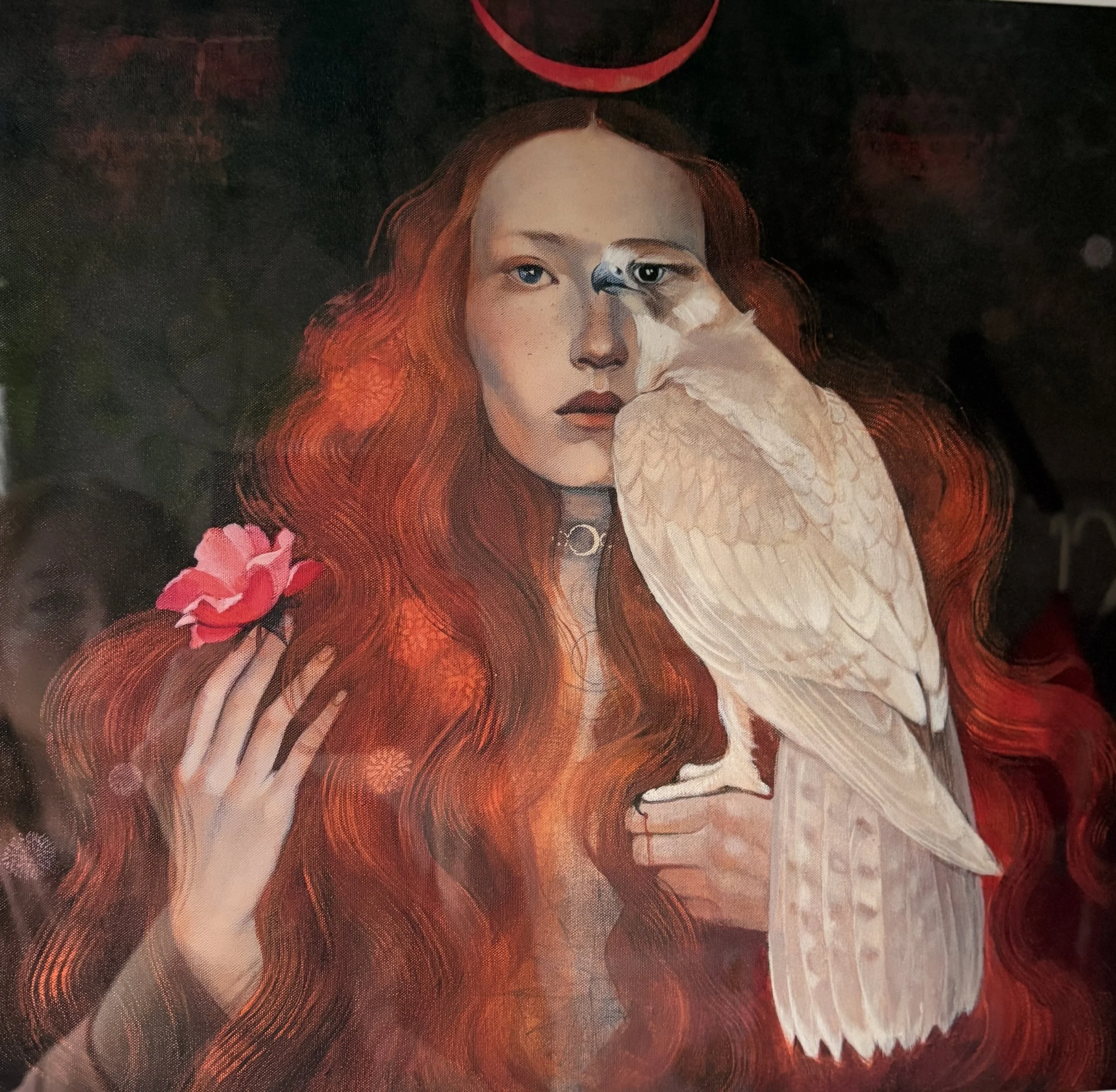 Dr. Cass, seer, oracle, hawk