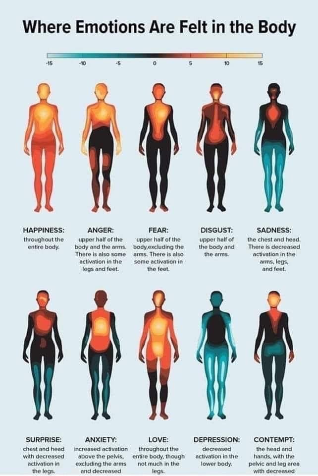 Somatics- Embodied Awareness