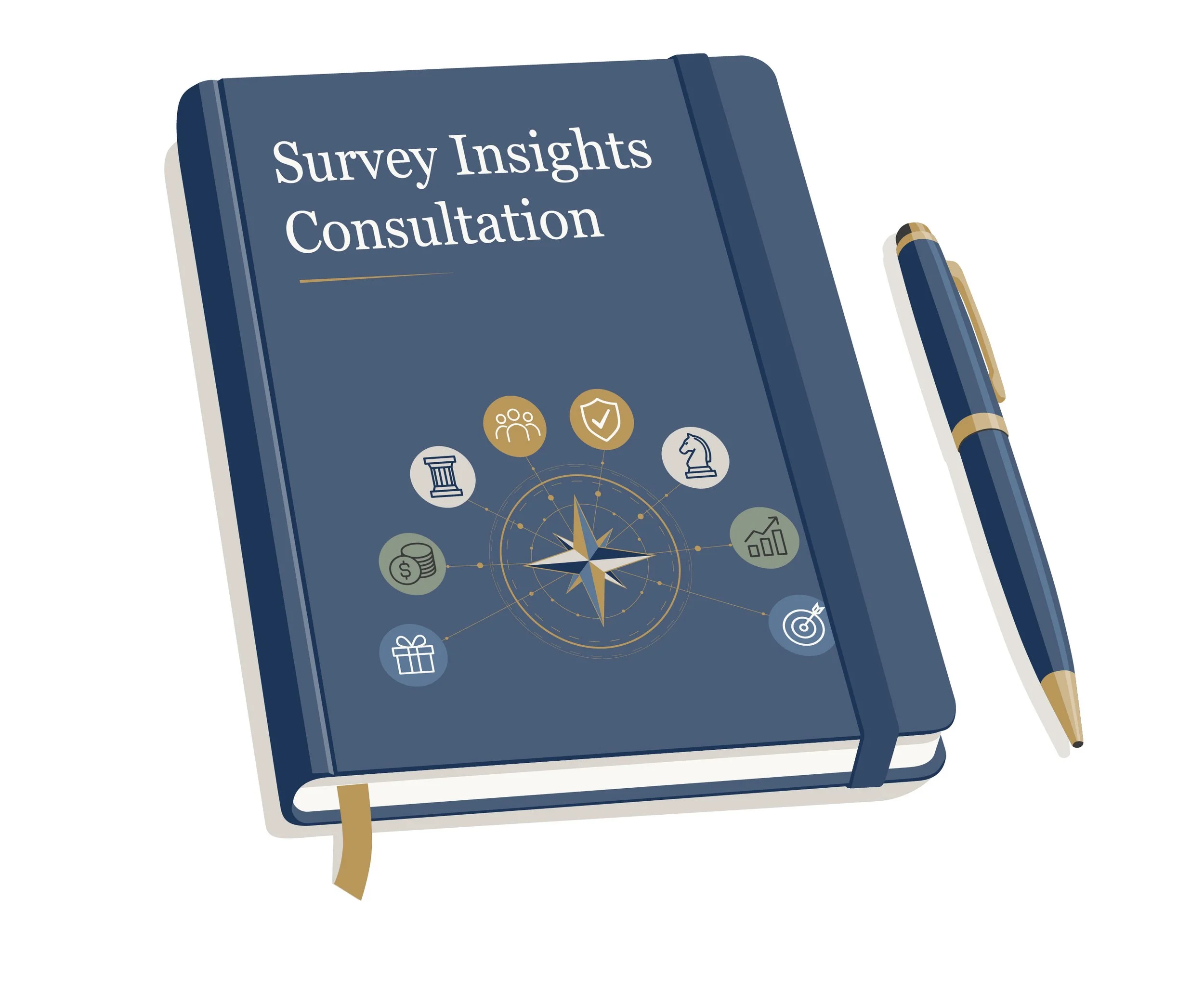 Survey Insights Consultation