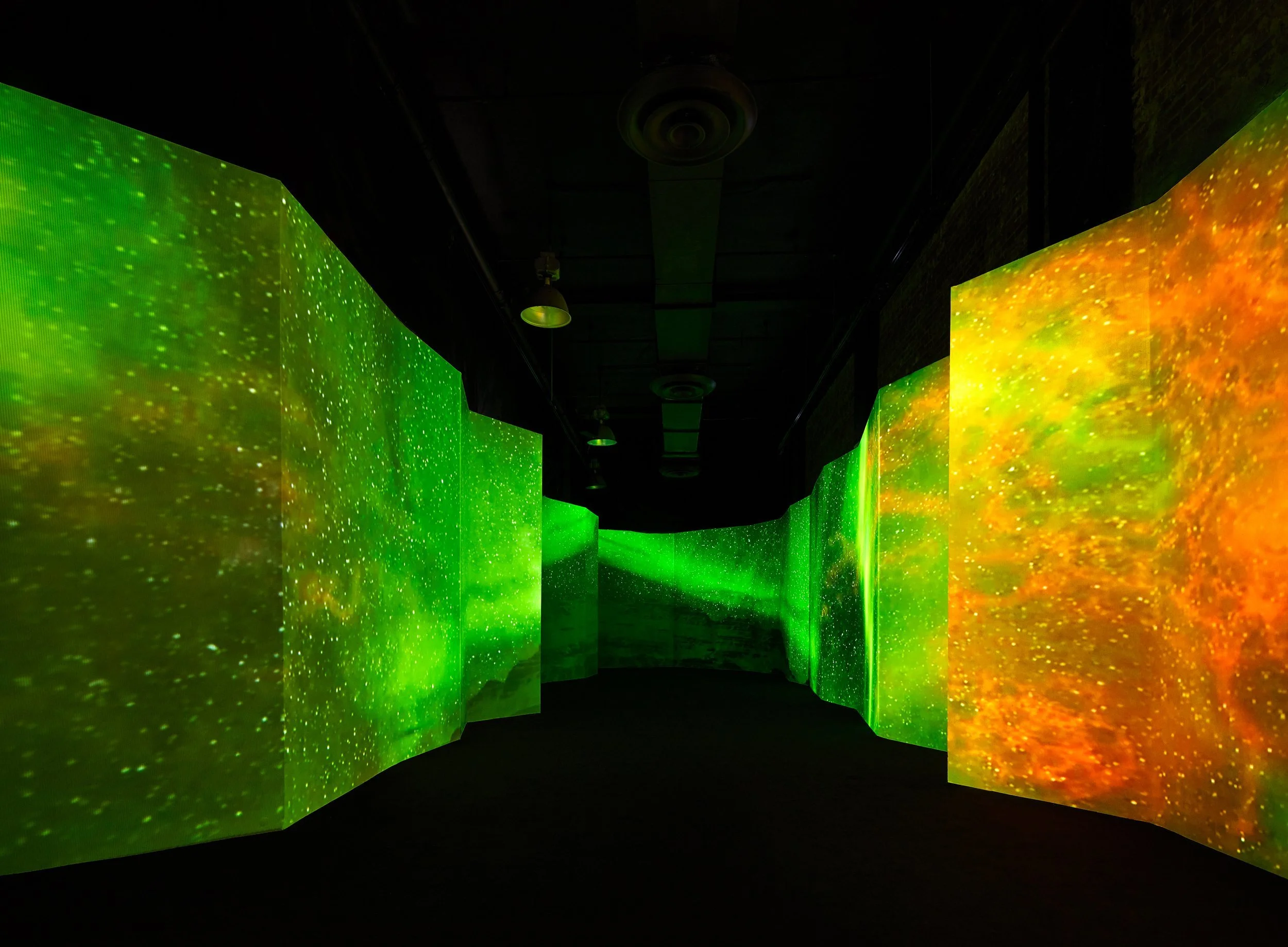 Arcadia Earth Toronto