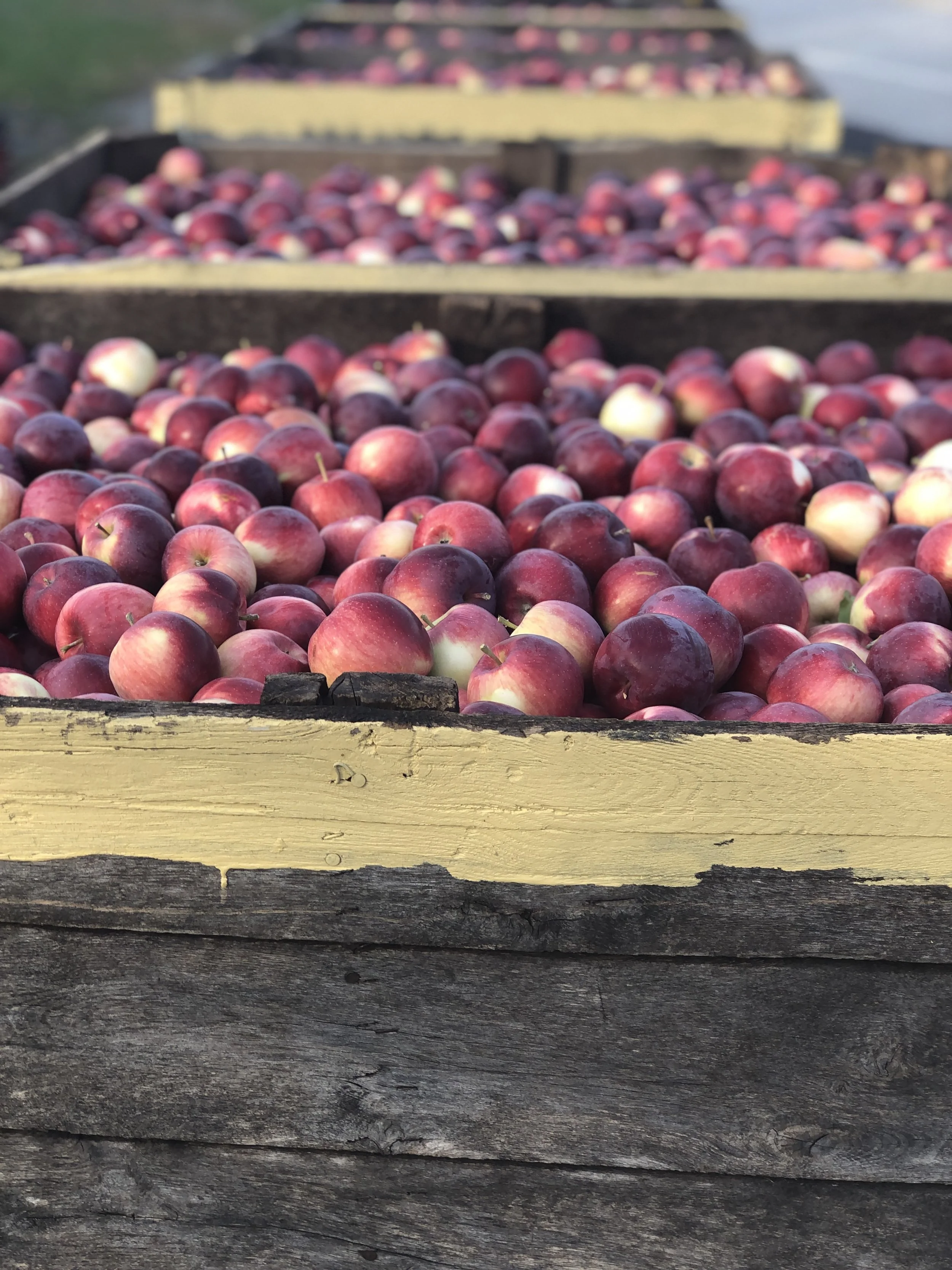 Meet Us — Vermont Cider Lab